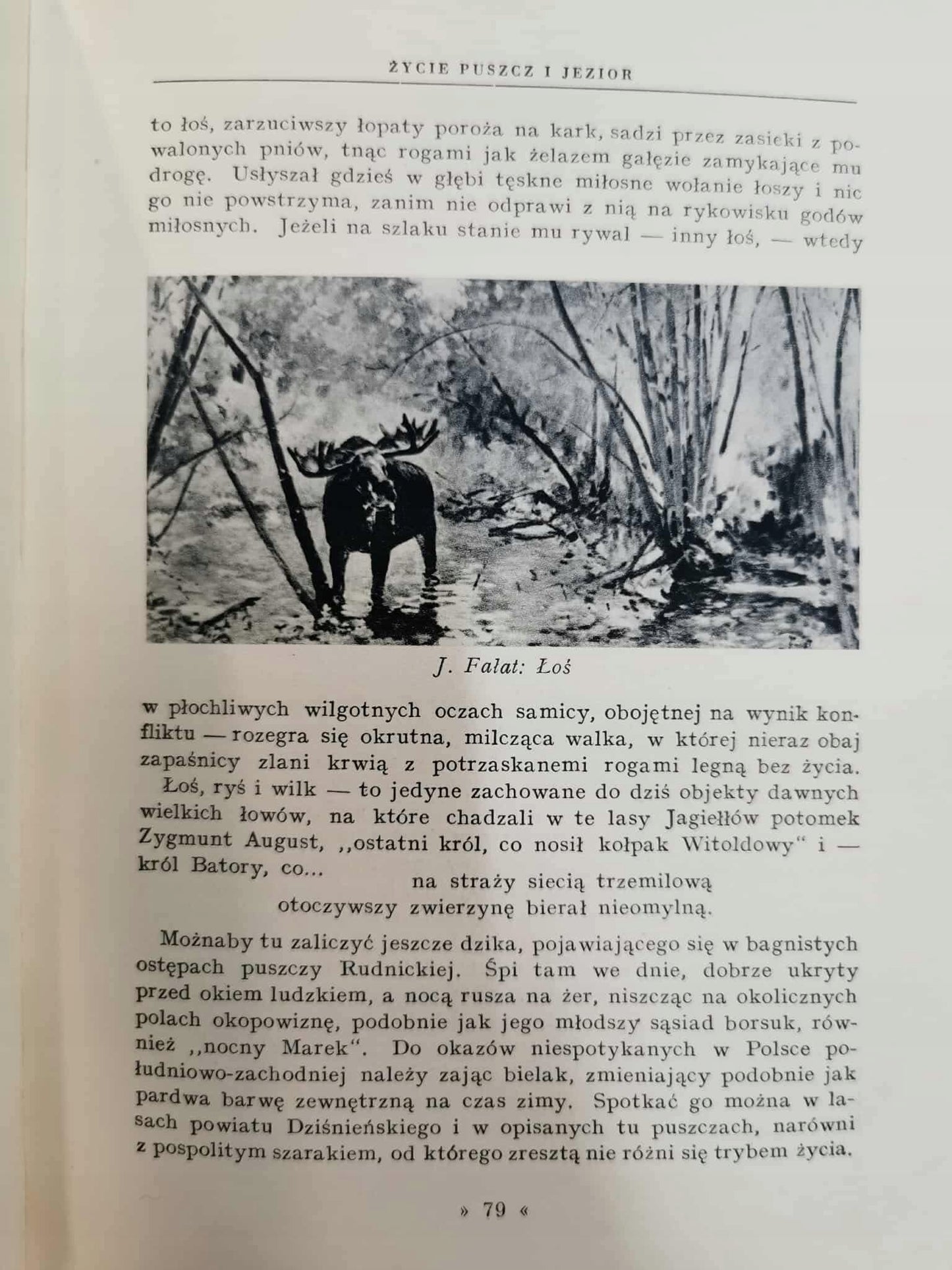 Między Niemnem a Dźwiną, Tadeusz Łopalewski [1938]