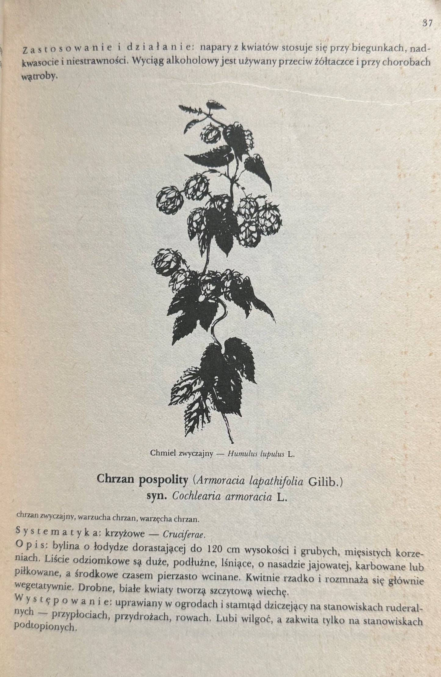 c8de08372ea5700d6d2e8735ebf13151