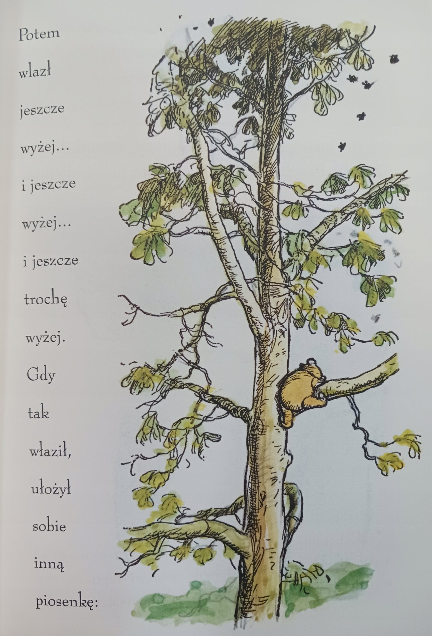 Kubuś Puchatek Kolekcja A. A. Milne