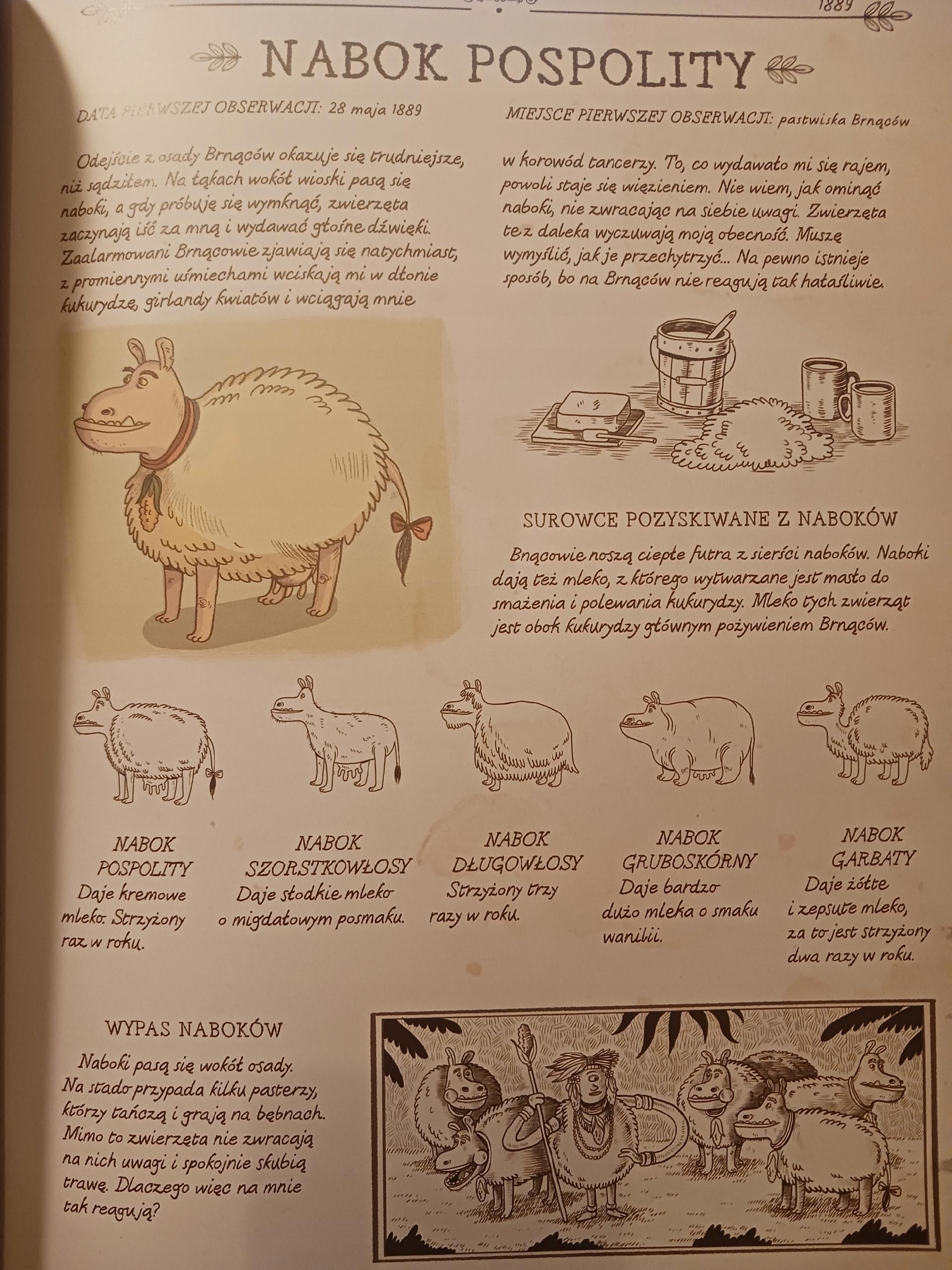 Zaginiona wyspa Alojzy Rzepa, Nikola Kucharska