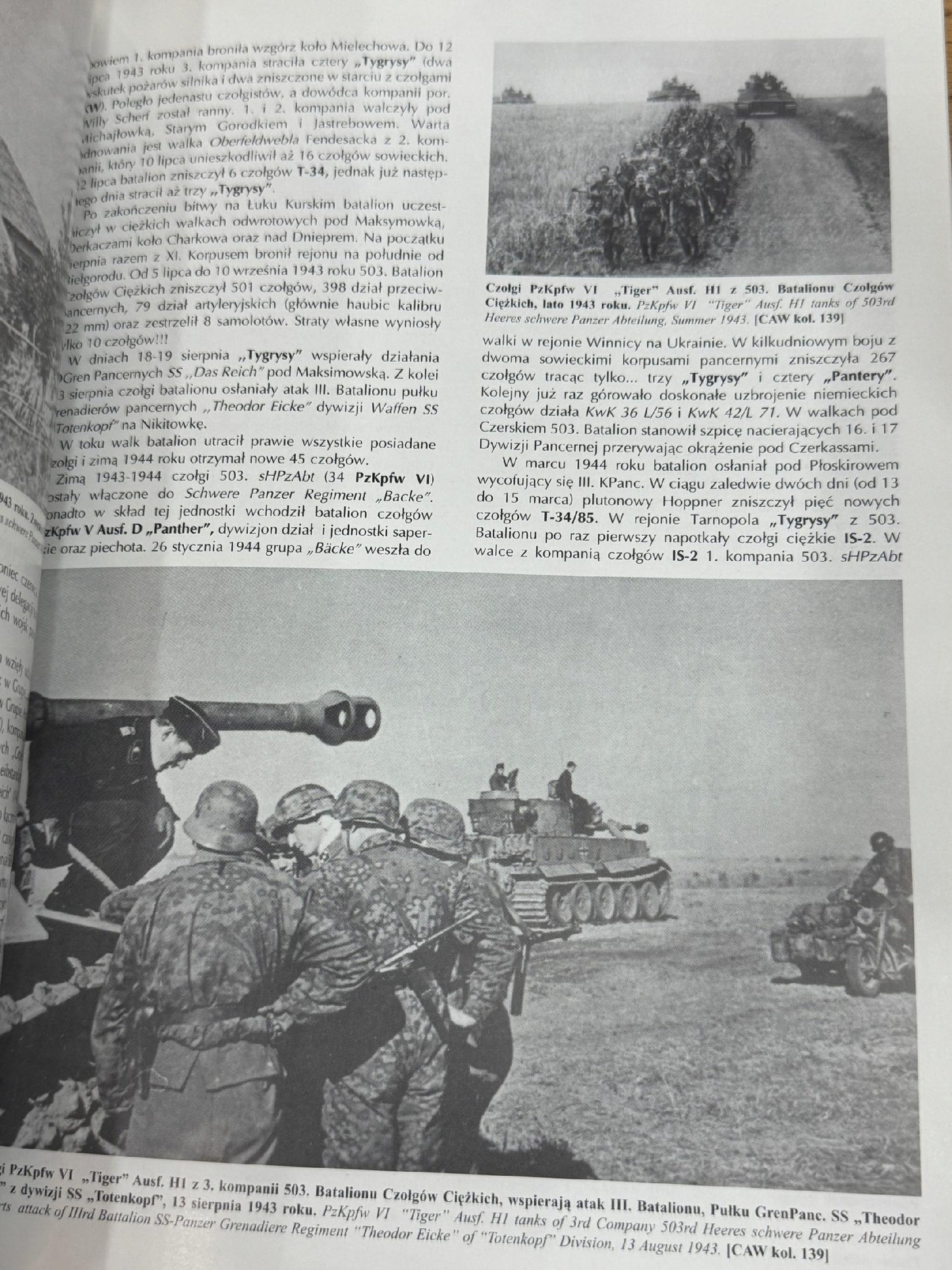 Tiger vol 1 Nr 74 Praca zbiorowa