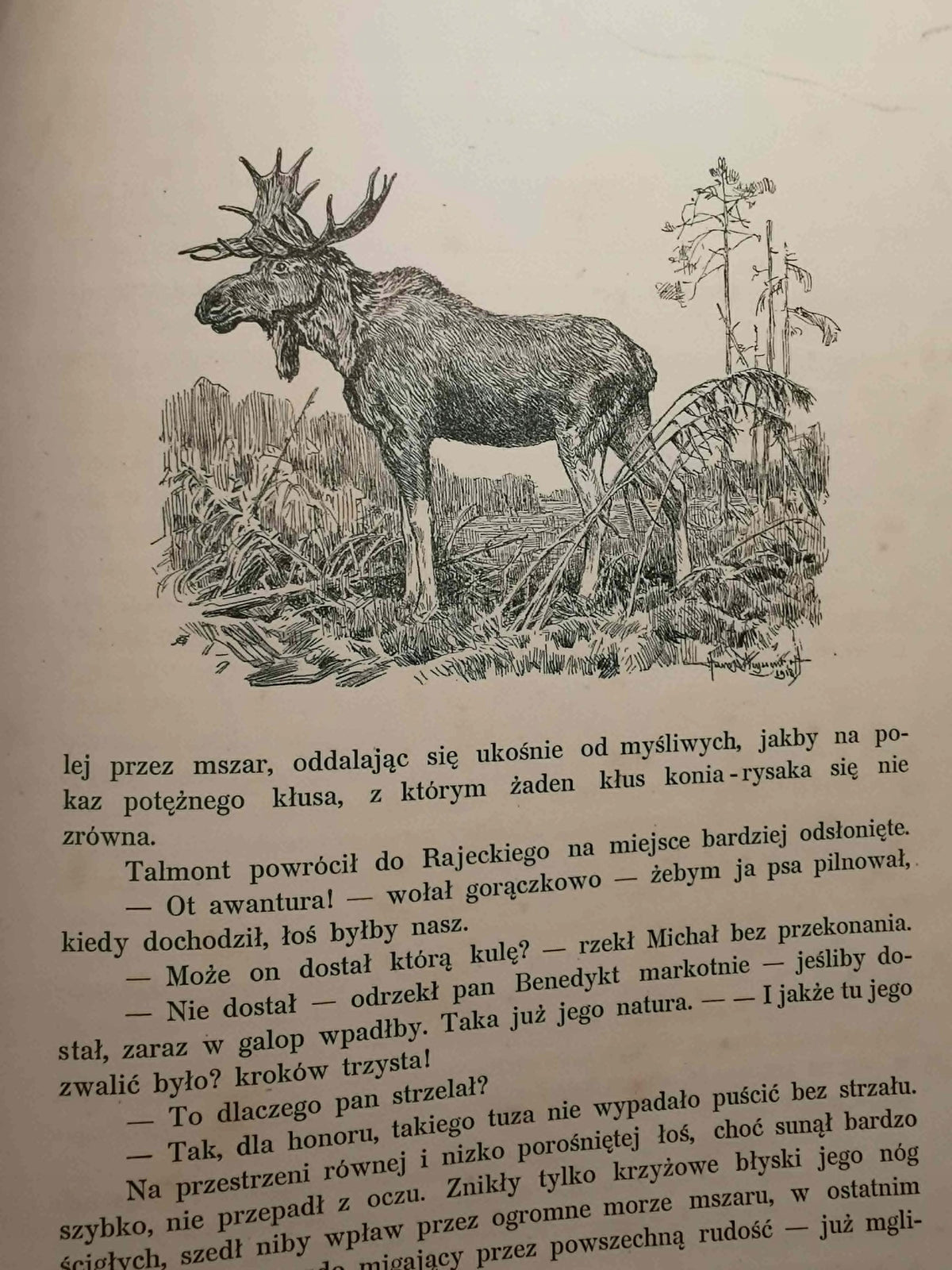 Soból i panna. Cykl myśliwski, J. Weyssenhoff [1913]