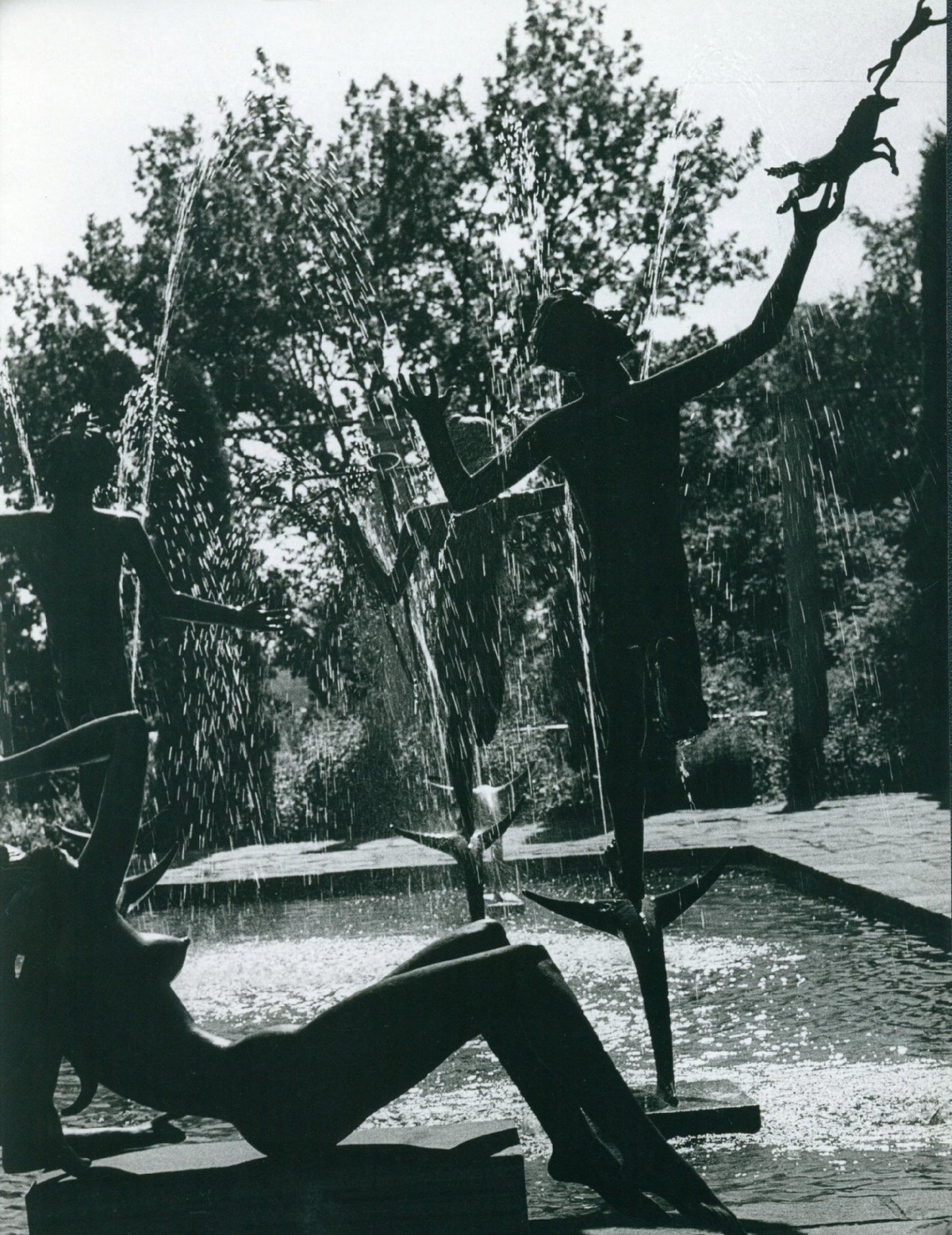 51c78c756a564820619041adad7fc3a2