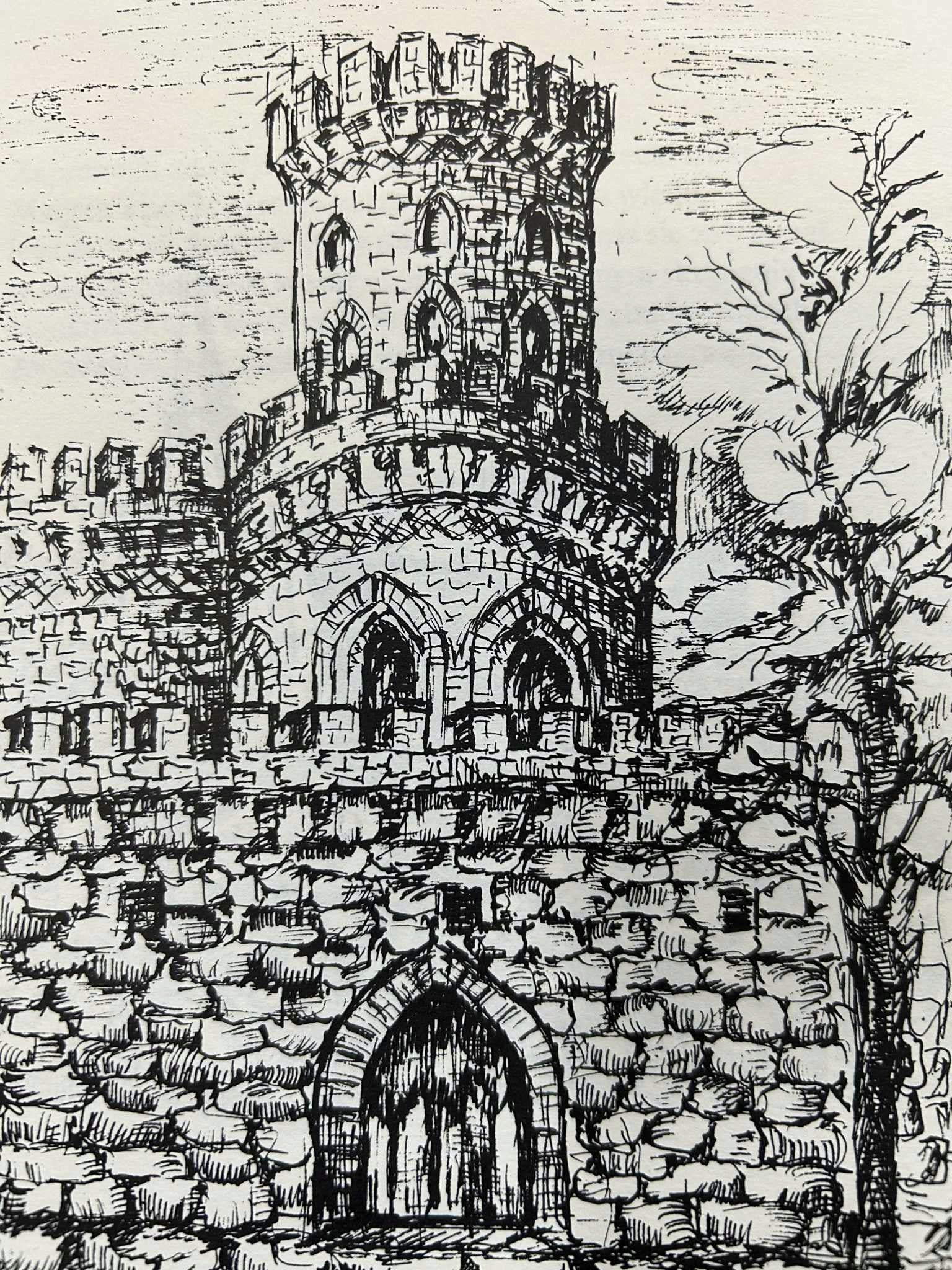 de4d0e248f91a5a204d2084f3019e2e6