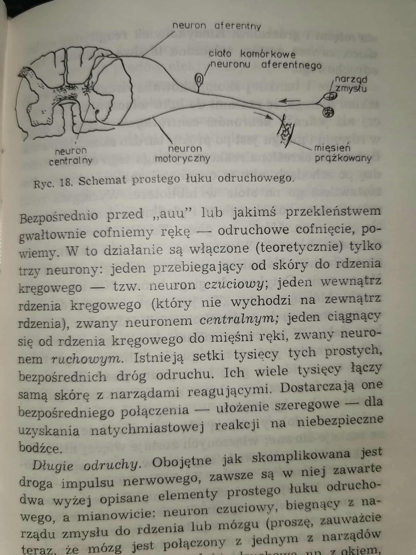 Behawioryzm oraz Psychologia, jak widzi ją behawiorysta, John B Watson