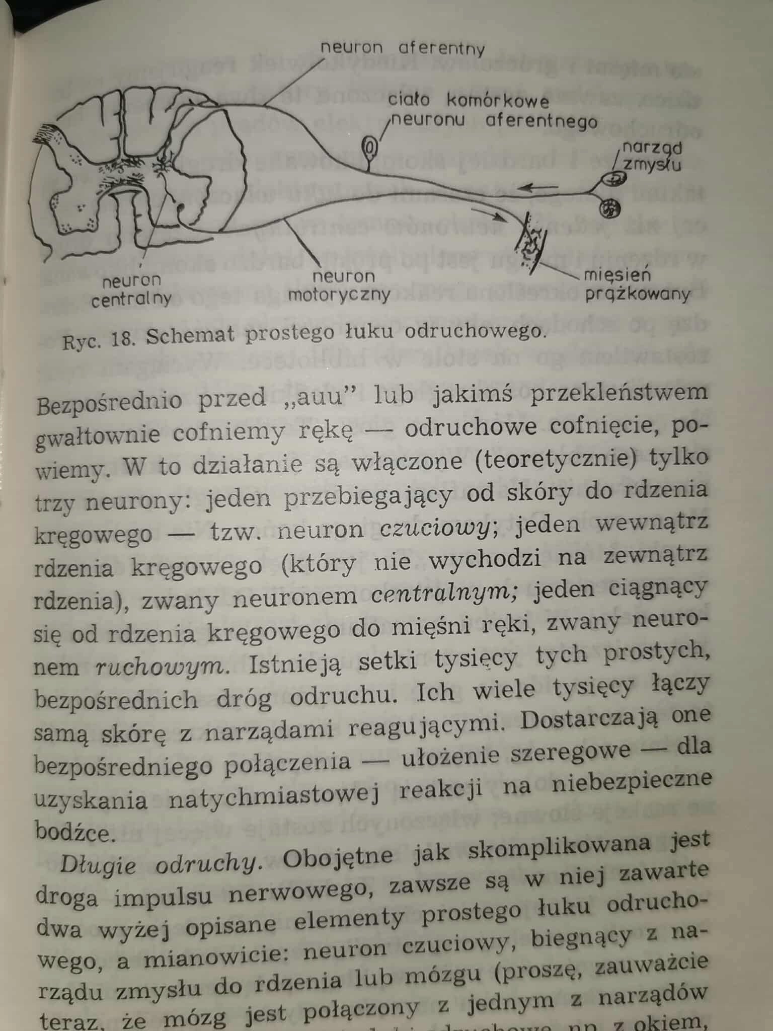 Behawioryzm oraz Psychologia, jak widzi ją behawiorysta, John B Watson