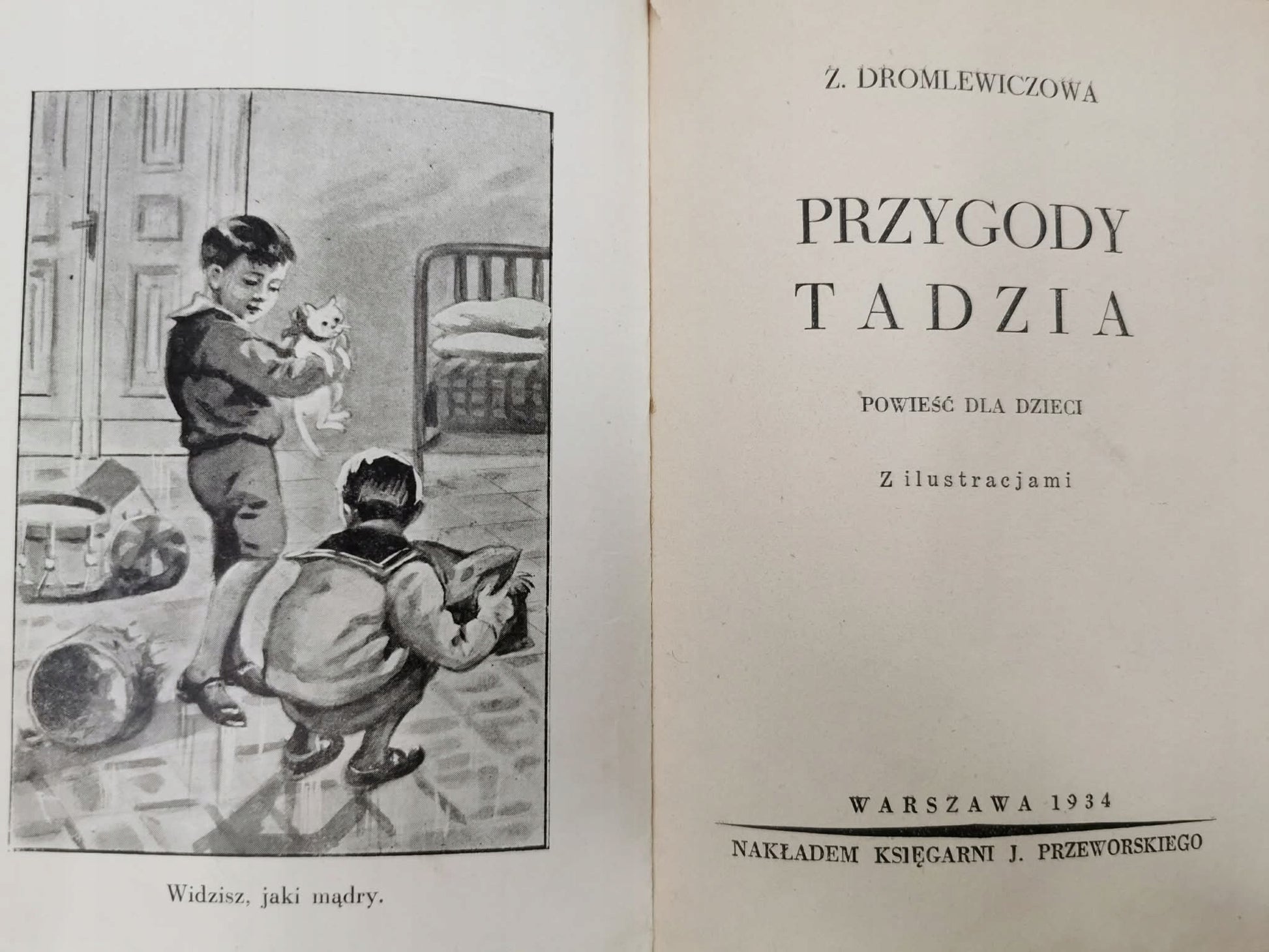 Przygody Tadzia, Z. Dromlewiczowa [Warszawa 1934]
