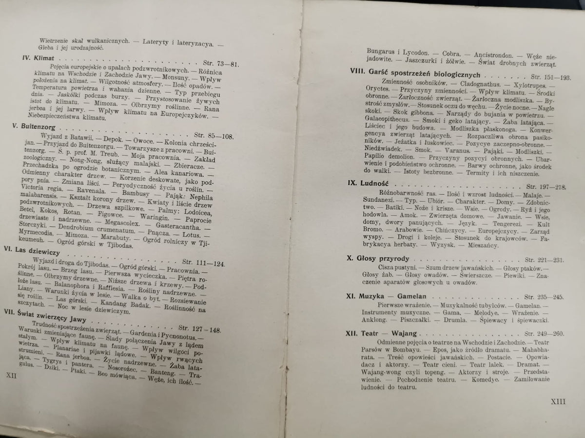 Jawa. Przygoda i sztuka, uwagi z podróży, M. Siedlecki [Kraków 1913]