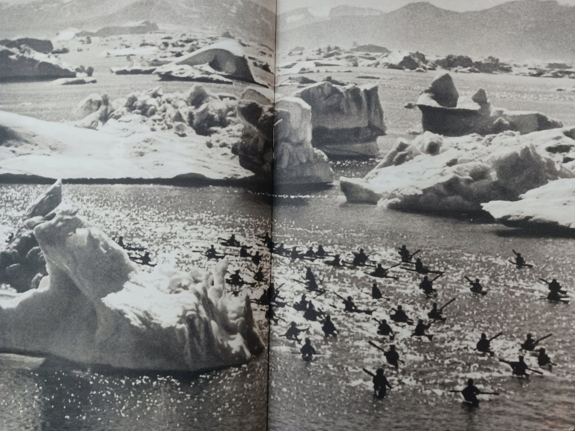 f97038ffd66bab0a7cbe258c57c1df9f