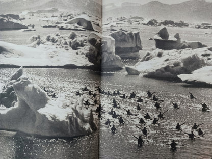 f97038ffd66bab0a7cbe258c57c1df9f