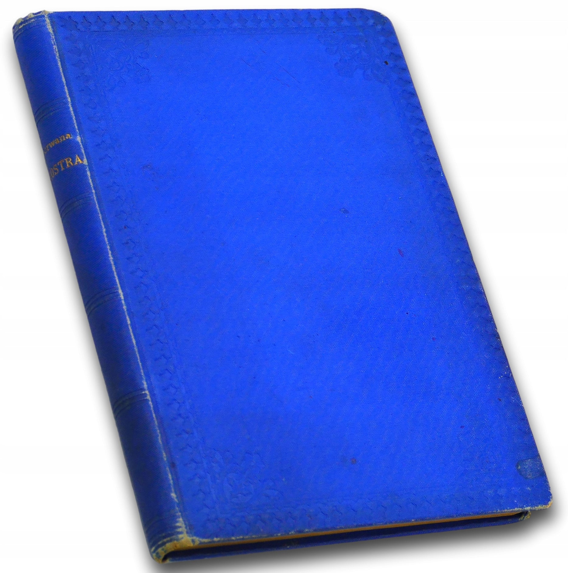 Porwana siostra, Mayne Reid [Warszawa 1893]