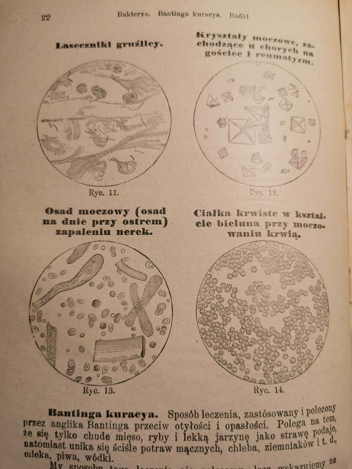 Nowe lecznictwo przyrodnicze t. I-II, F. E. Bilz [1930]