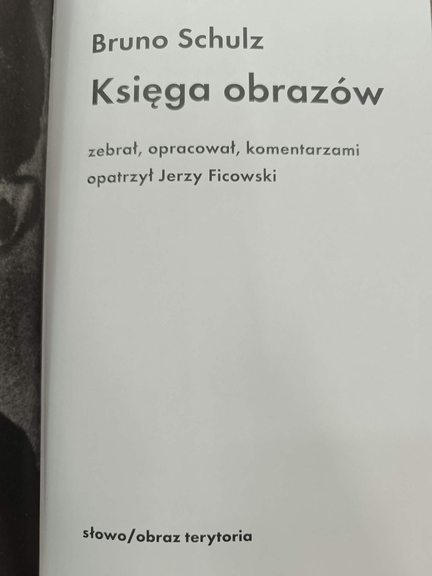 Księga obrazów, Bruno Schulz