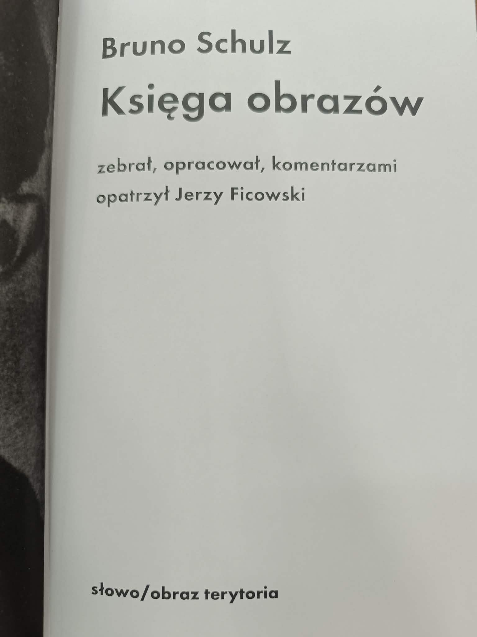 Księga obrazów, Bruno Schulz