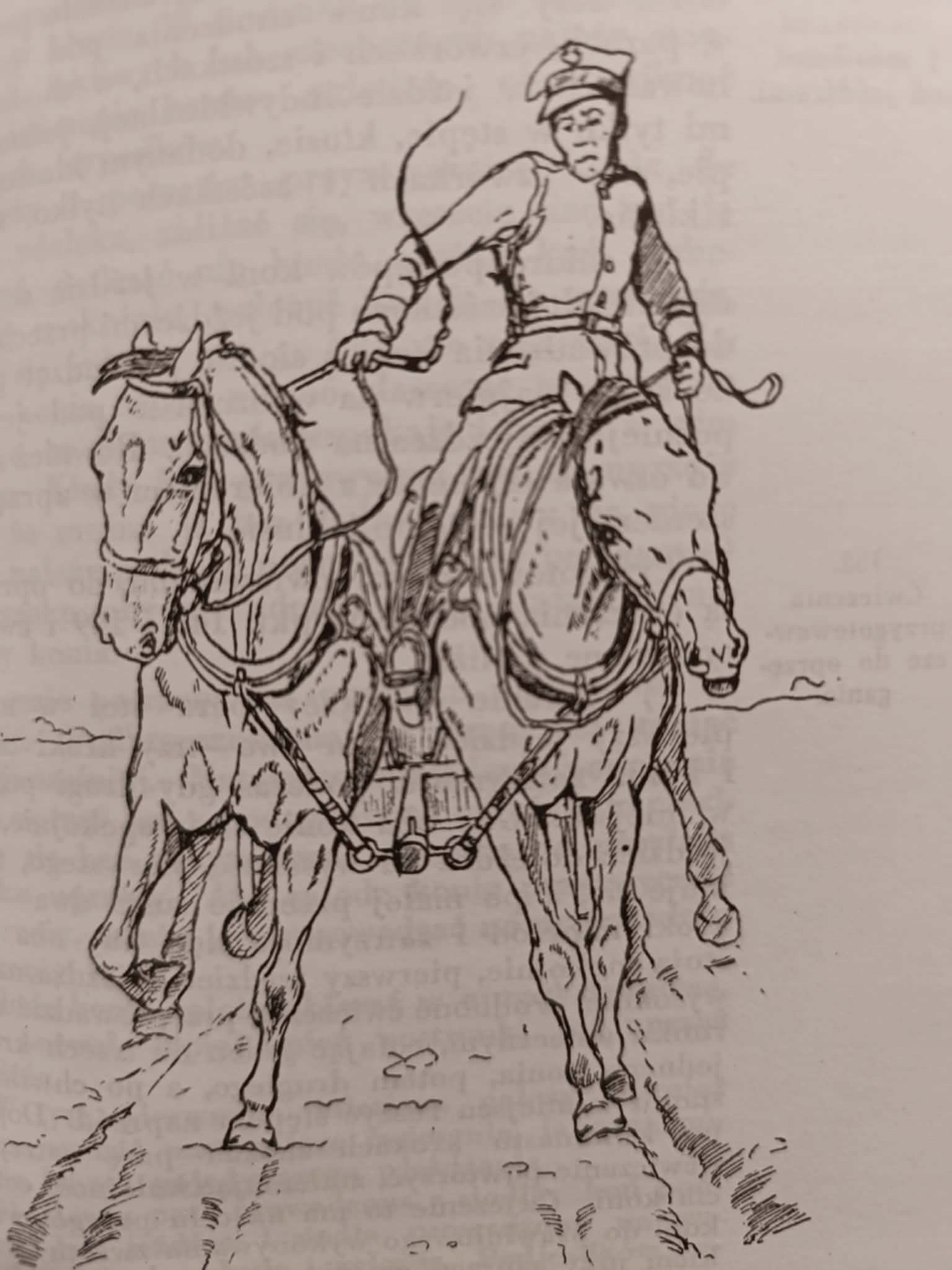 Instrukcja ujeżdżania koni T. 1, 2 [MSW, reprint z 1936 r.]