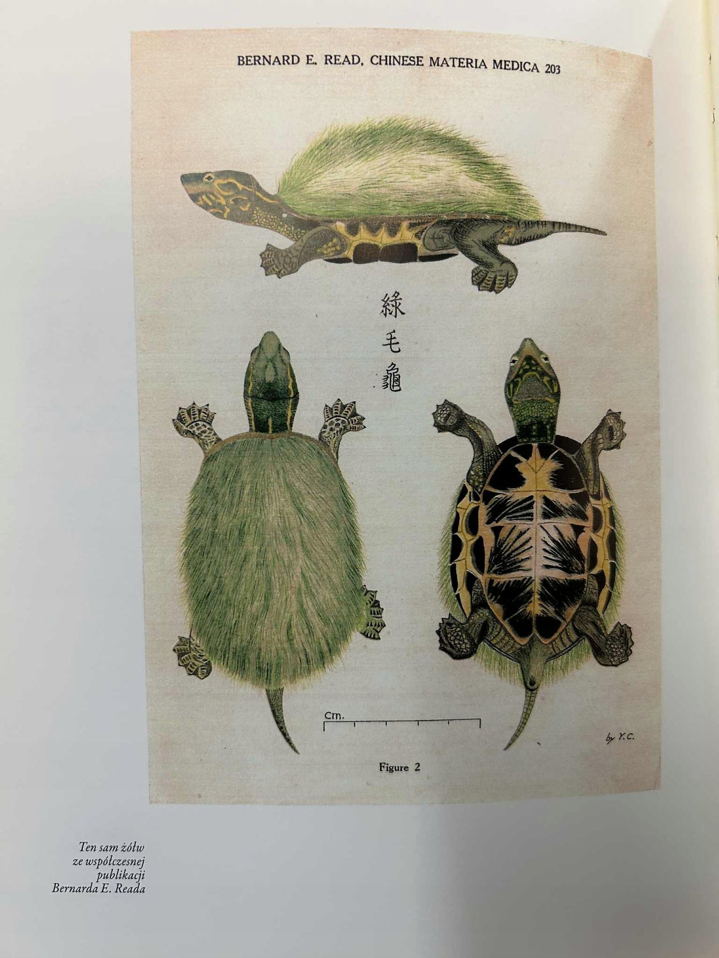 9beb2d85ab6ac63a8fc74751e7a78406