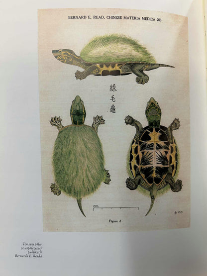 9beb2d85ab6ac63a8fc74751e7a78406