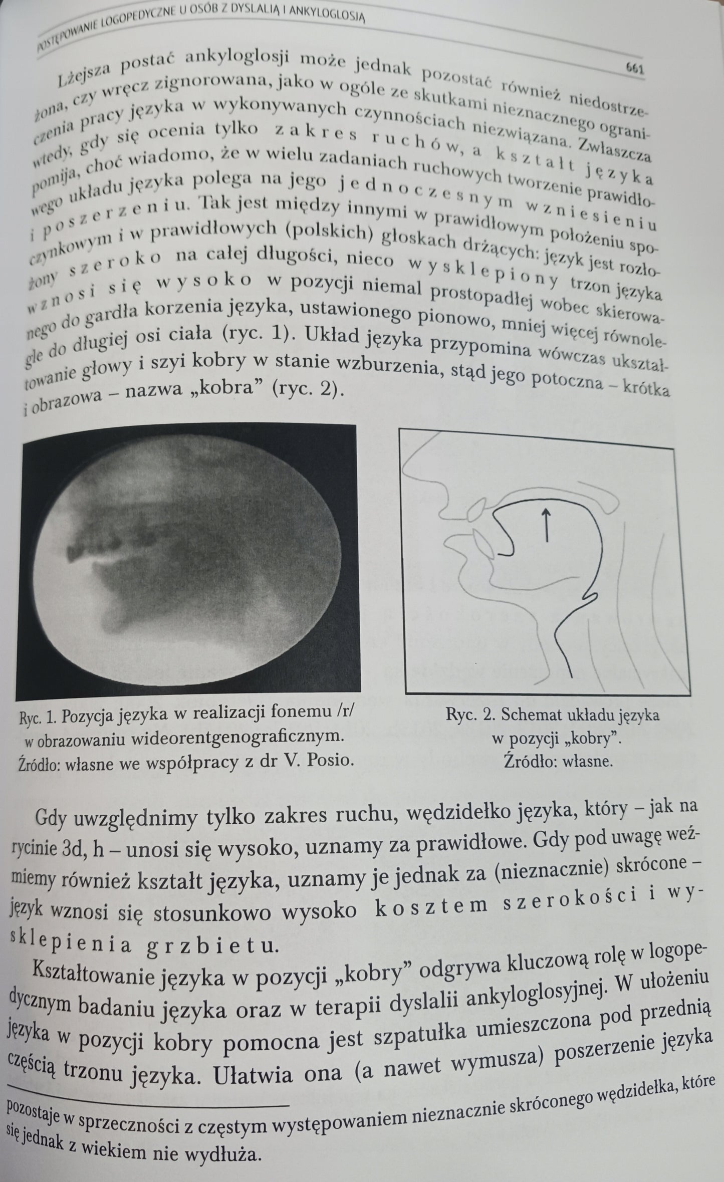 Logopedia. Standardy postępowania logopedycznego Praca zbiorowa