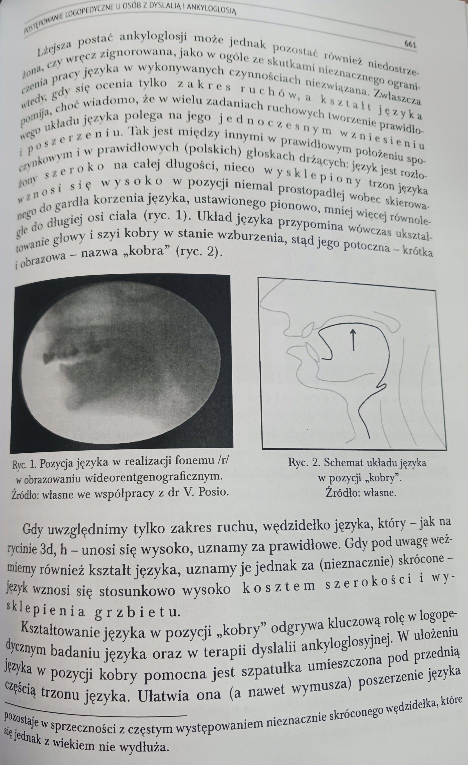 Logopedia. Standardy postępowania logopedycznego Praca zbiorowa