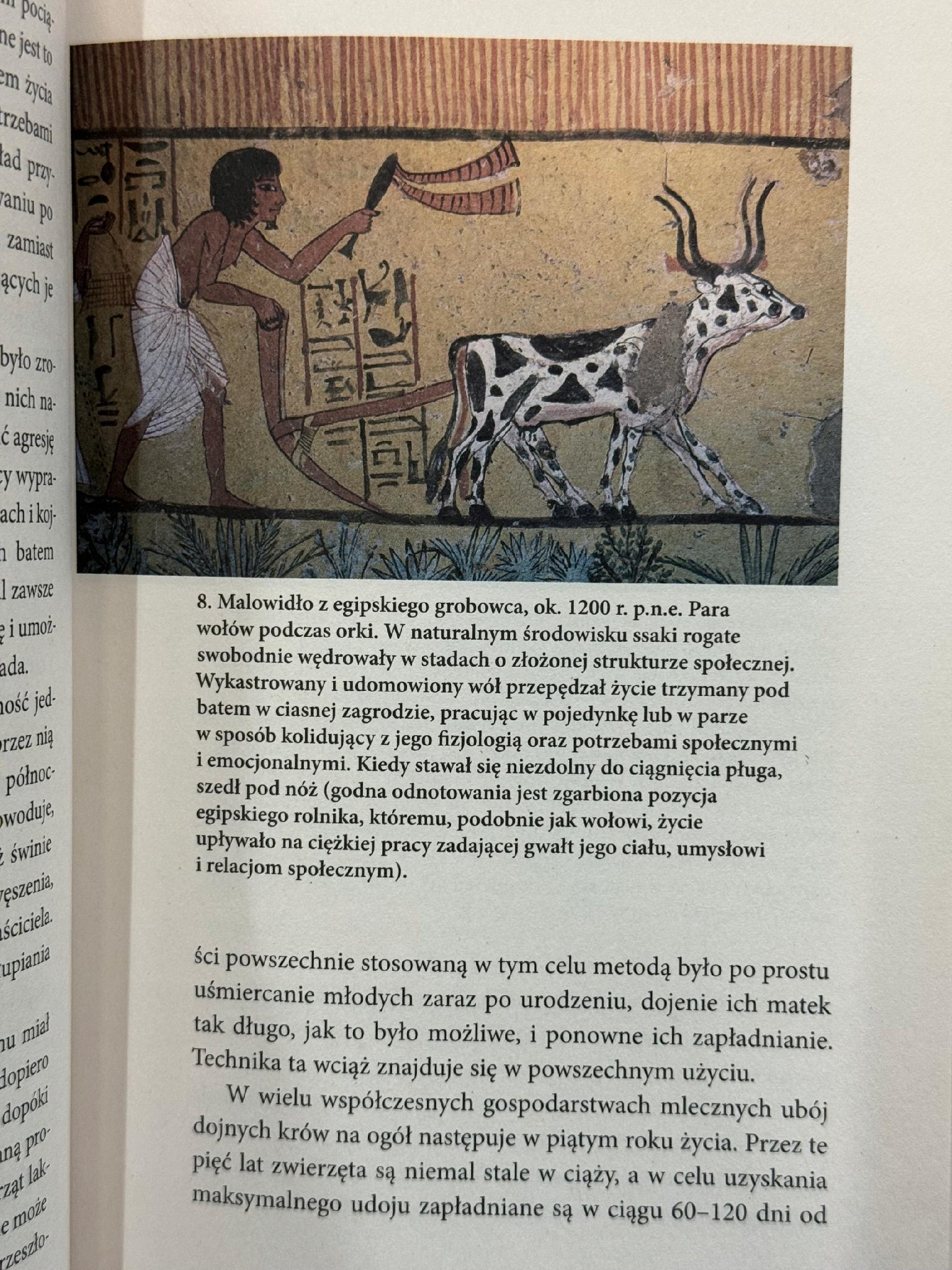 Sapiens. Od zwierząt do bogów Yuval Noah Harari