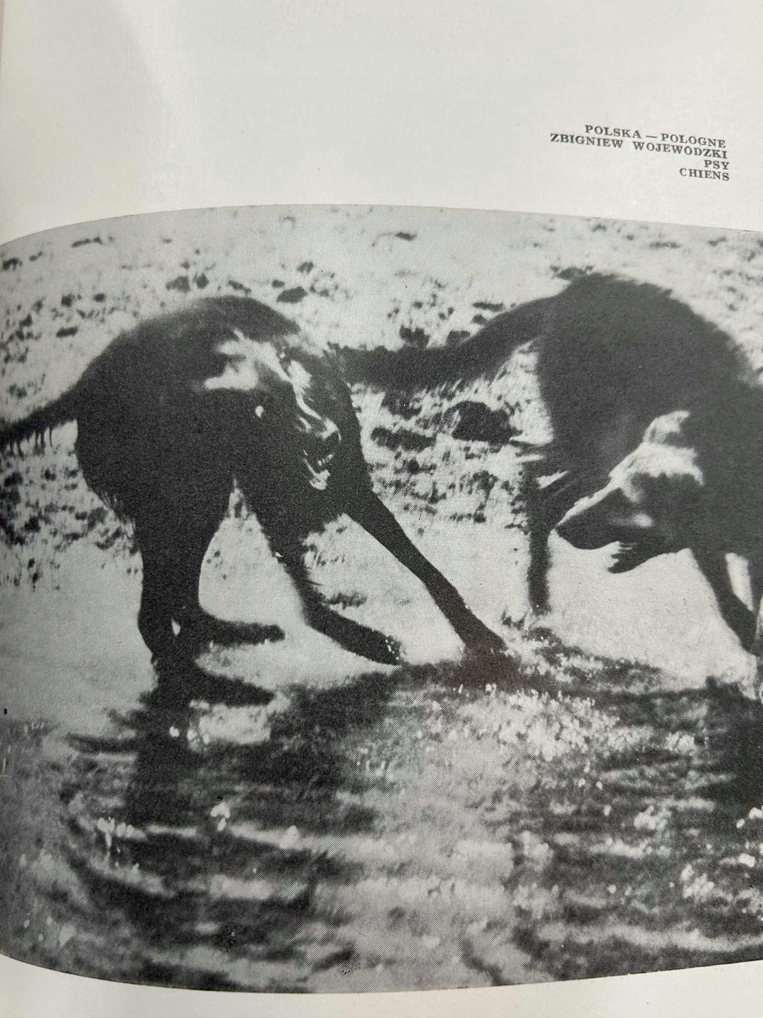 III Międzynarodowa Wystawa Fotografii Artystycznej 1966 r.