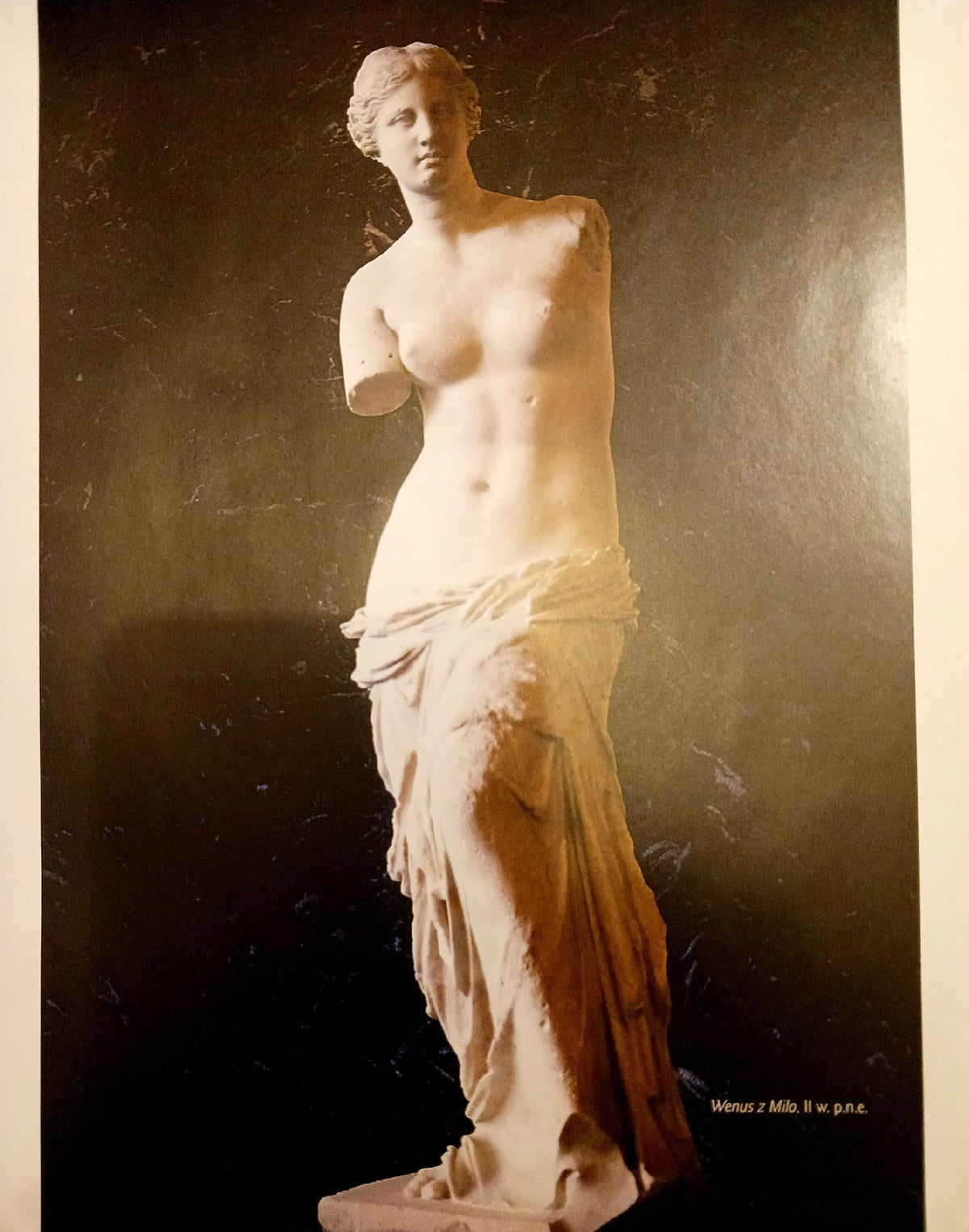 Mitologia grecka i rzymska. Spotkania ponad czasem Katarzyna Marciniak