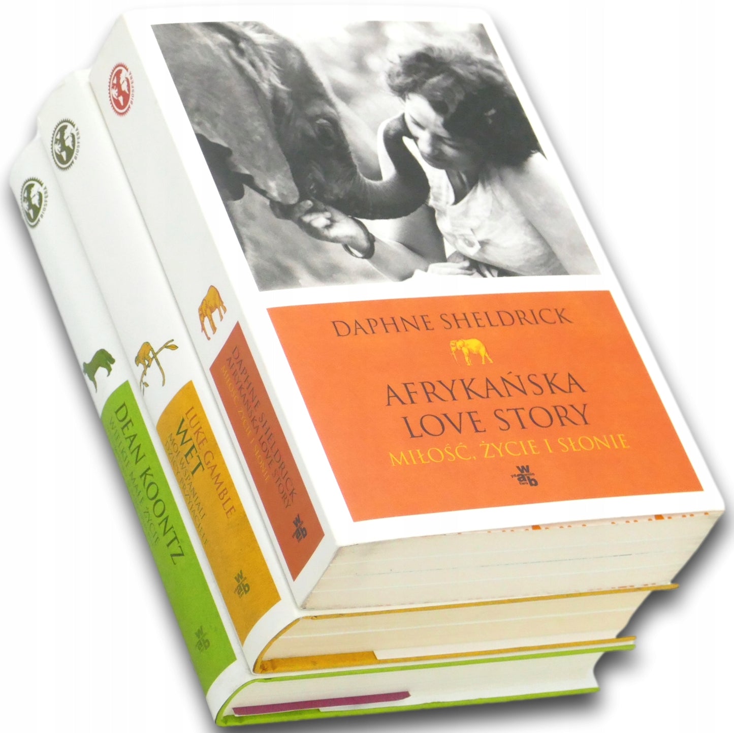 415d368d3997e8eadd16a2b09916f55e