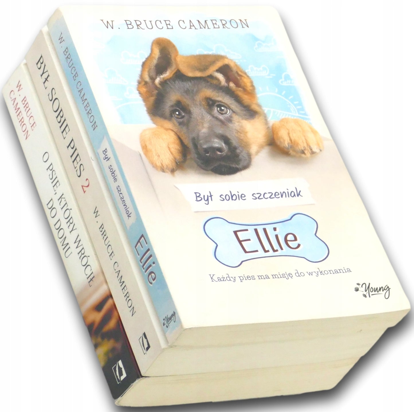 5bca9db46652f576155feb413a6fc460