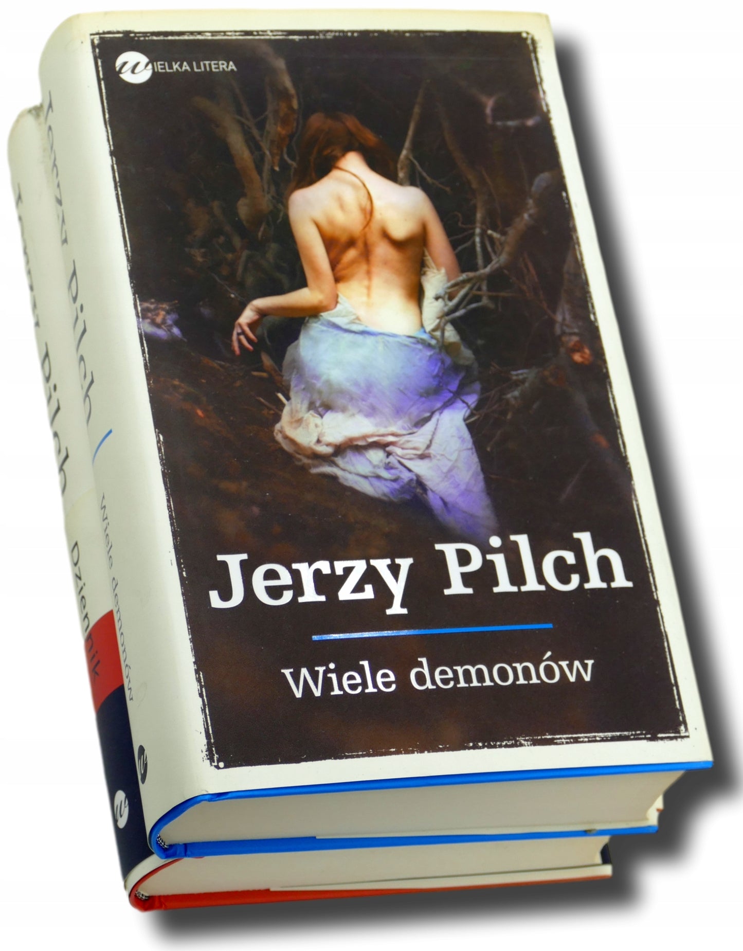Wiele demonów + Dziennik - Jerzy Pilch