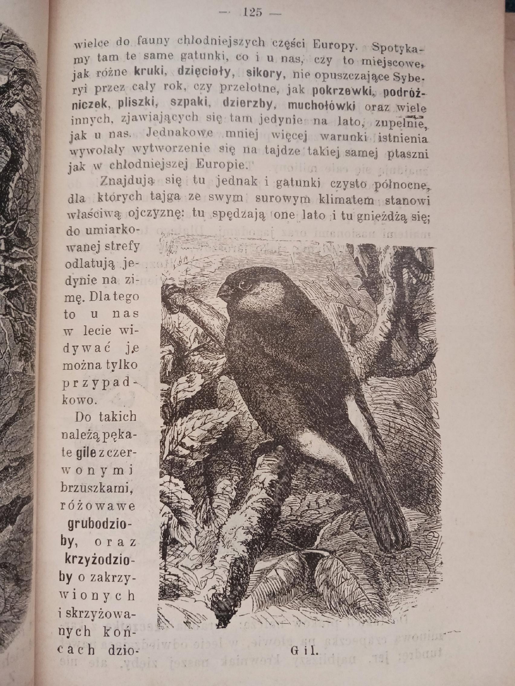 Zwierzęta lądowe i morskie B. Dyakowski [przedwojenna biologia, wyd. 1907r]