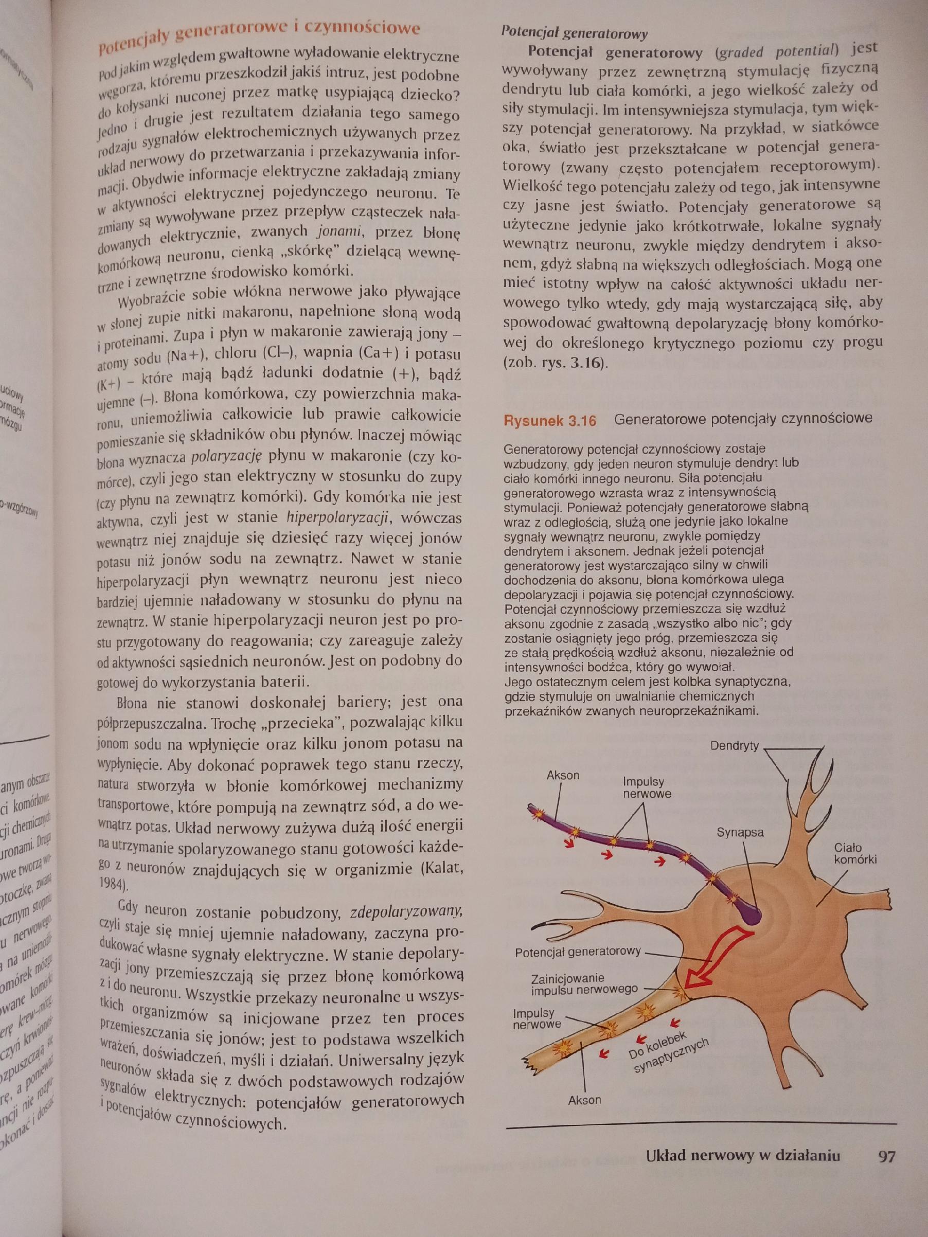 Psychologia i życie Philip G. Zimbardo