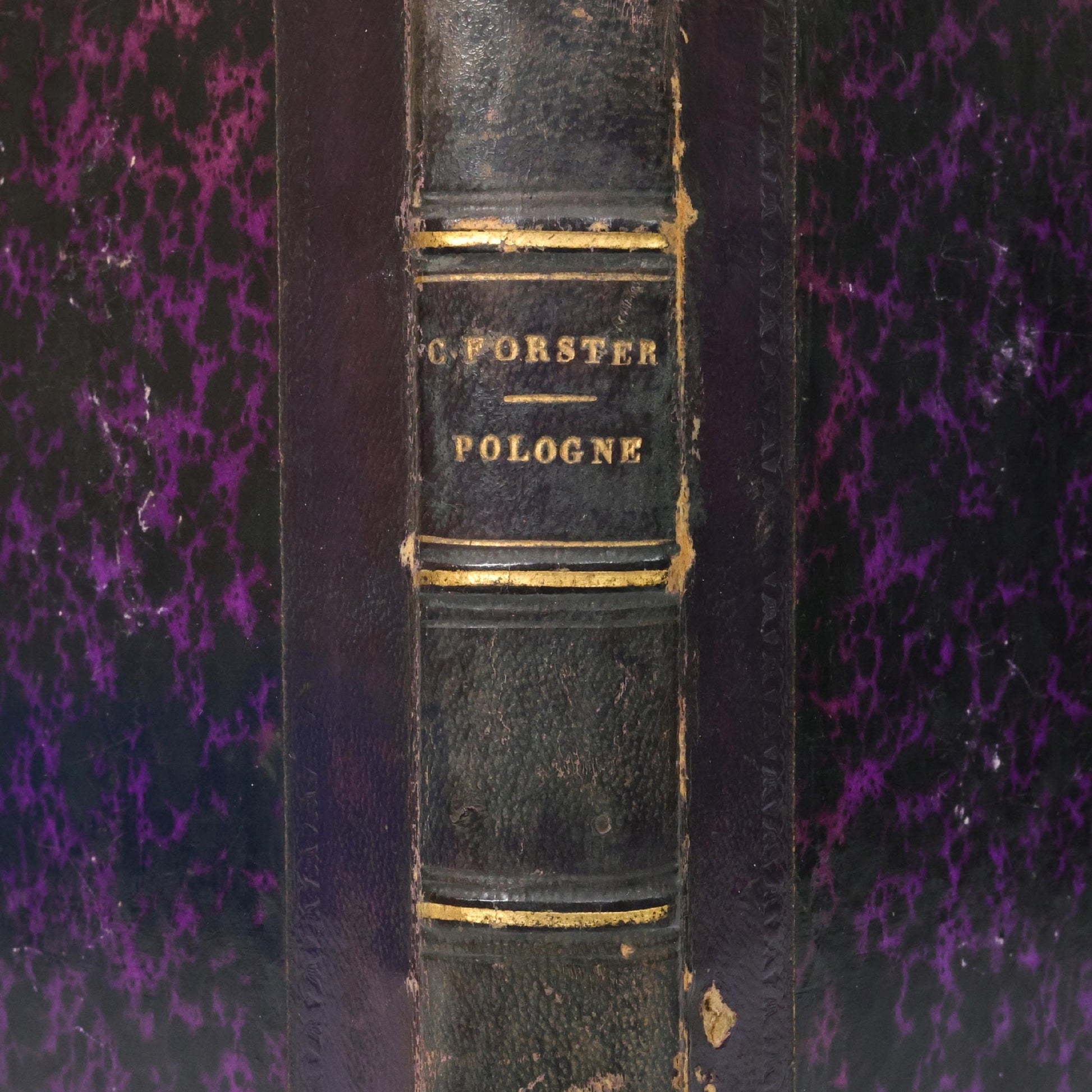 Forster Charles, Pologne [Paryż 1840] [historia Polski z 55 stalorytami]