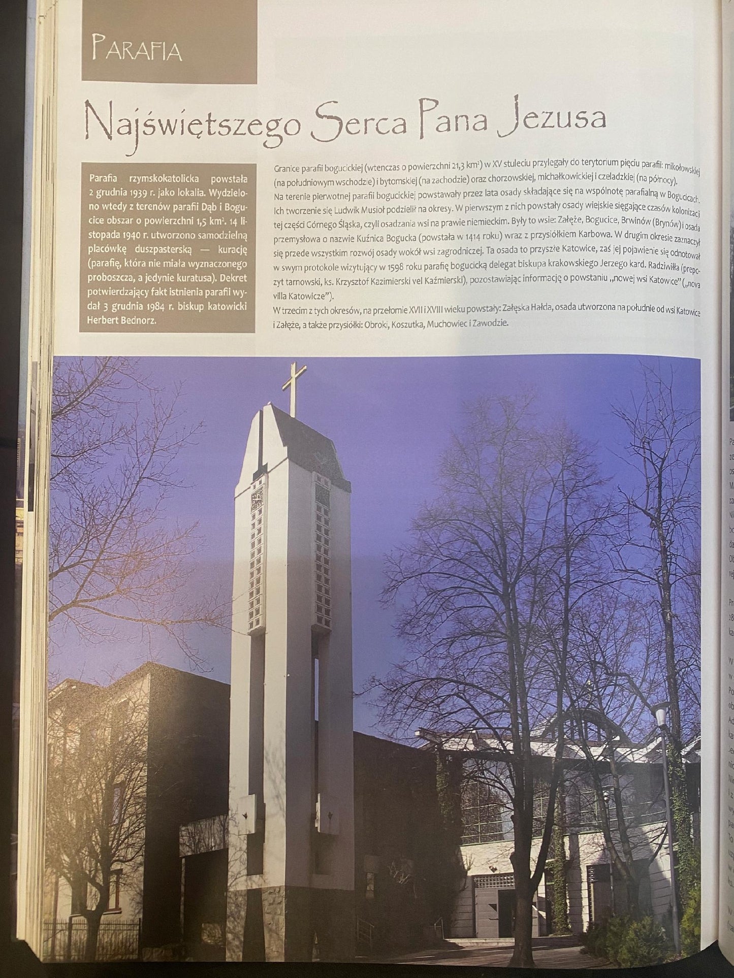 85e3c5630294c0c3251c919007828196