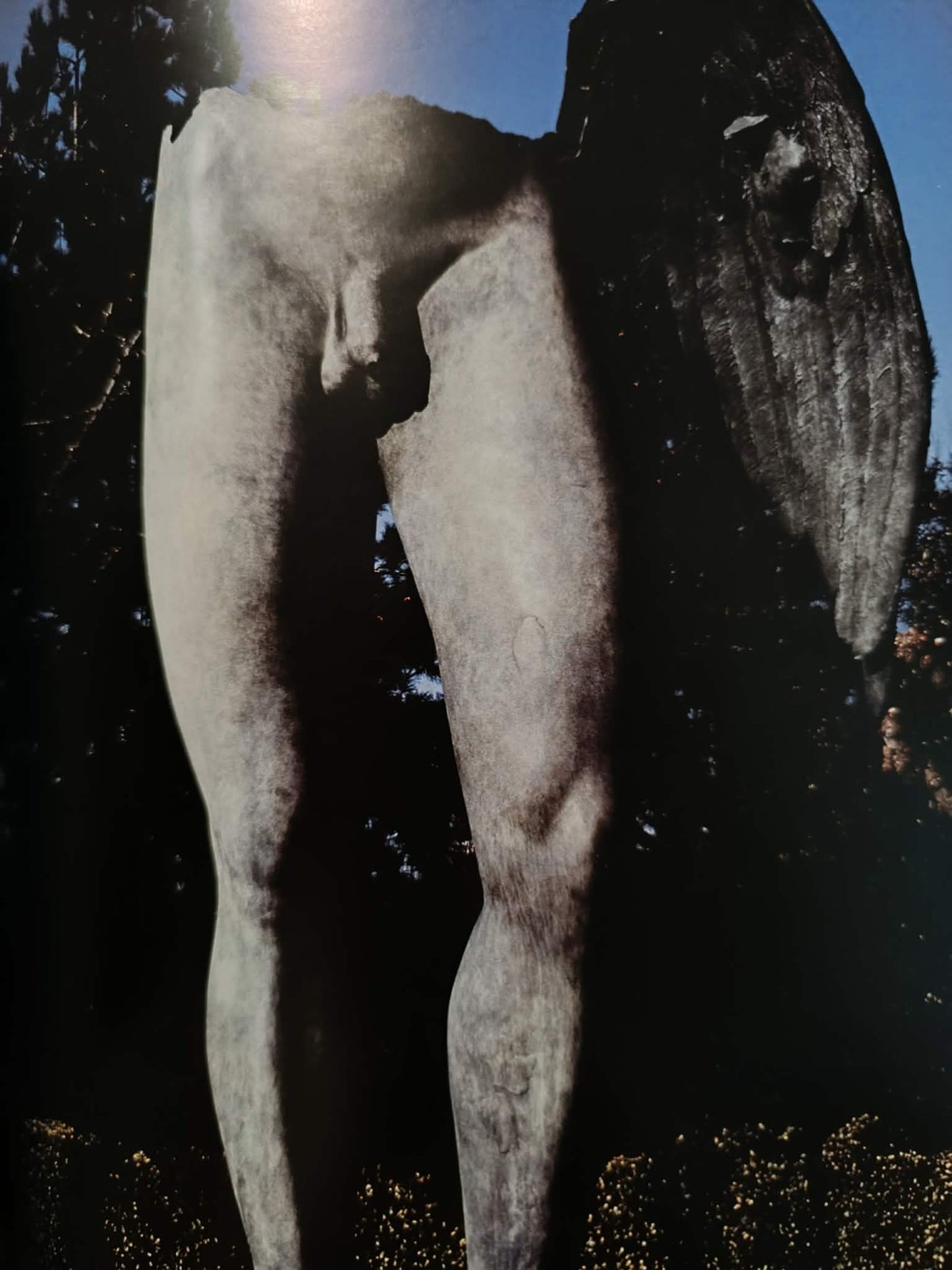 Mitoraj, Urok Gorgony, the spell of Gorgon