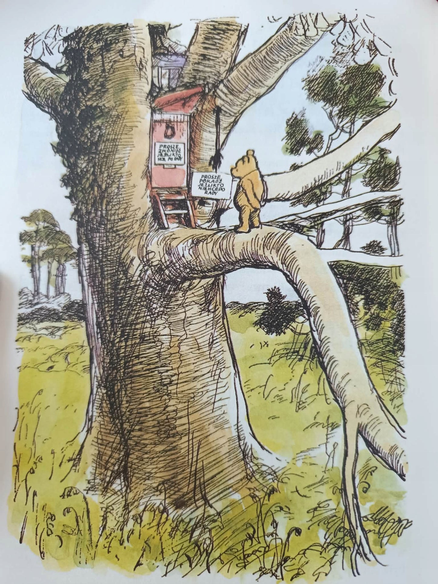 Kubuś Puchatek, Chatka Puchatka, A. A. Milne [książka na prezent]