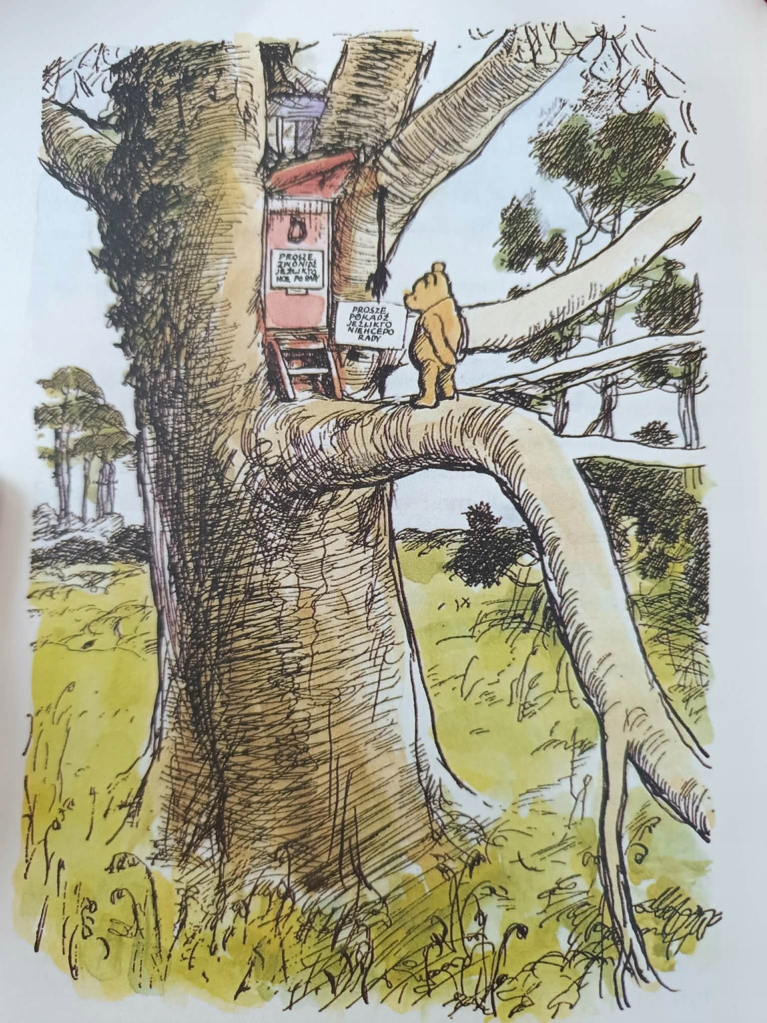 Kubuś Puchatek, Chatka Puchatka, A. A. Milne [książka na prezent]