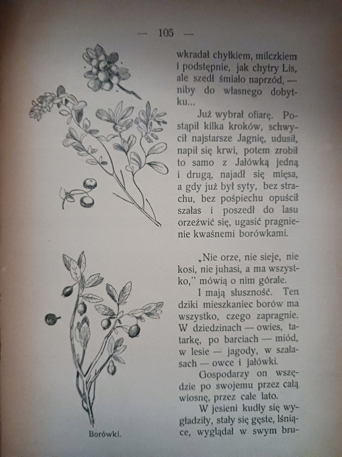Pieśń poranna Jadwiga Warnkówna [wydanie z roku 1903] [RZADKIE]