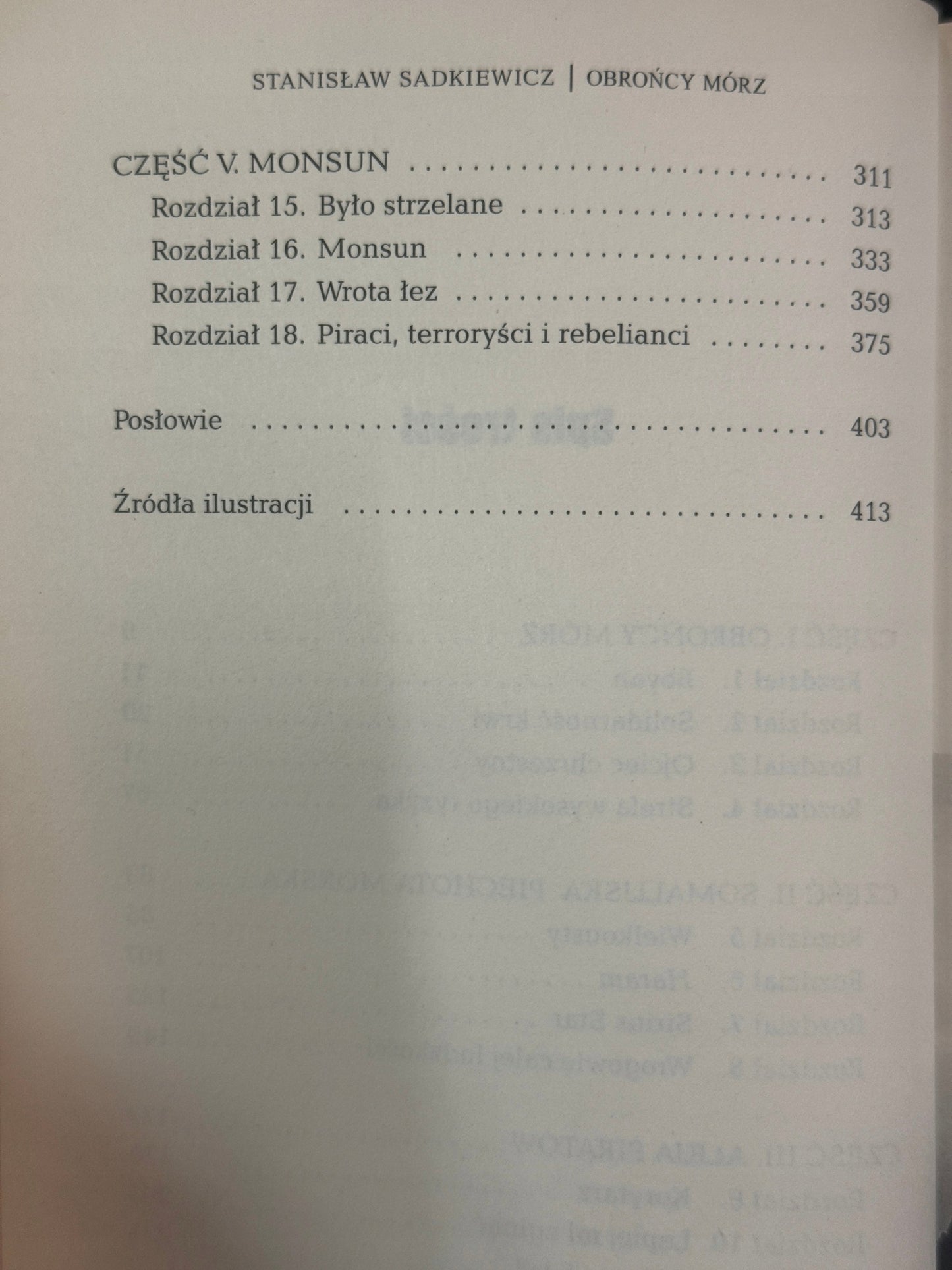 Obrońcy mórz. Piraci, morscy terroryści i polski oficer ochrony statków