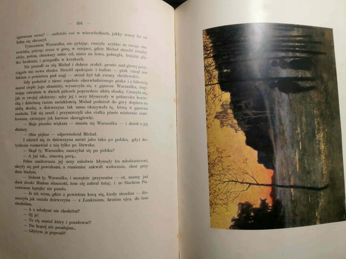 Soból i panna. Cykl myśliwski, J. Weyssenhoff [1913]