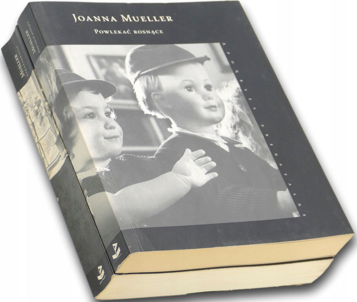 Joanna Mueller x2 Powlekać rosnące. Apokryfy prenatalne; Stratygrafie