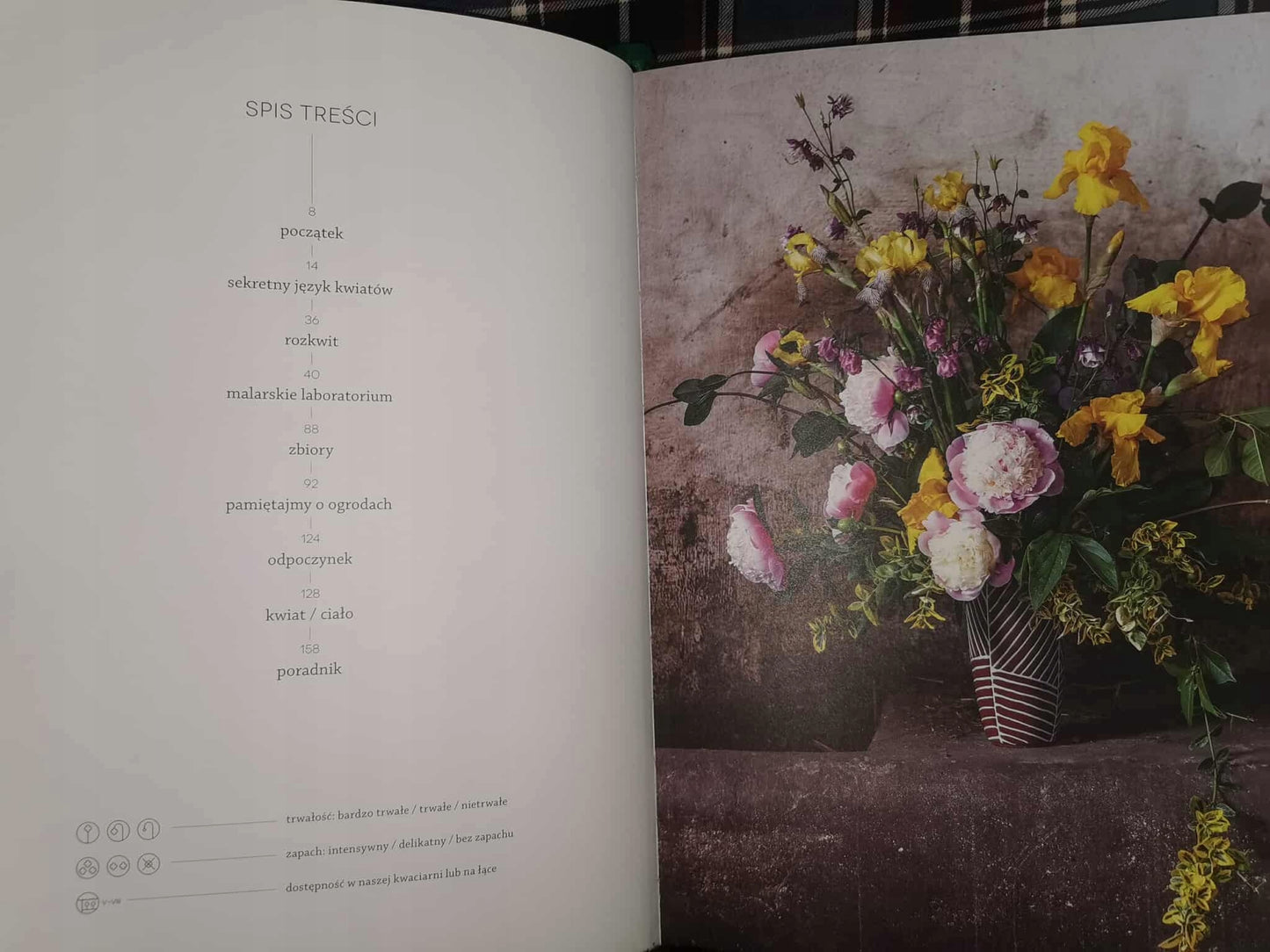 ce88cb4d2022870ade4cab5d399473d9