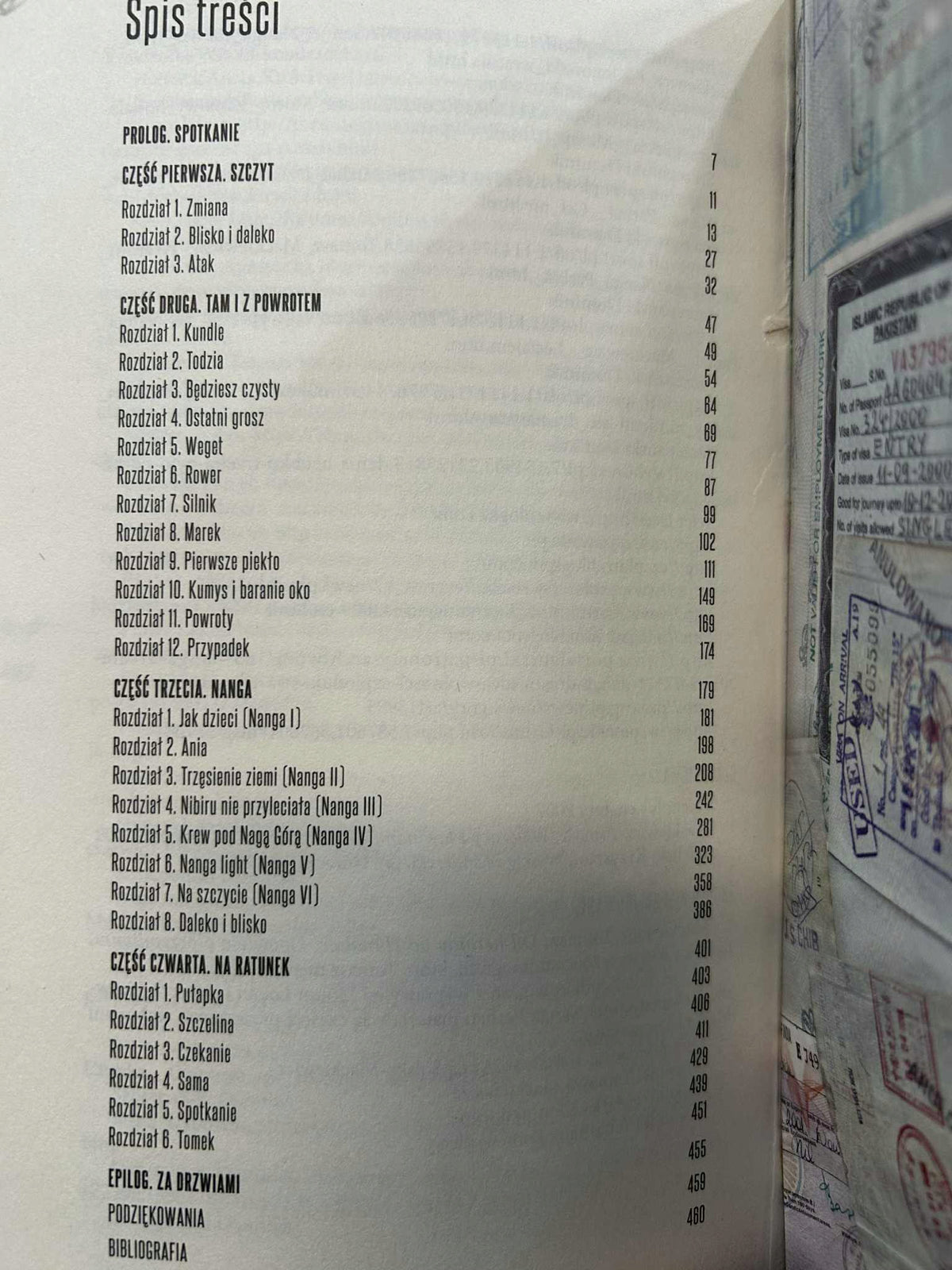 Czapkins. Historia Tomka Mackiewicza - Dominik Szczepański