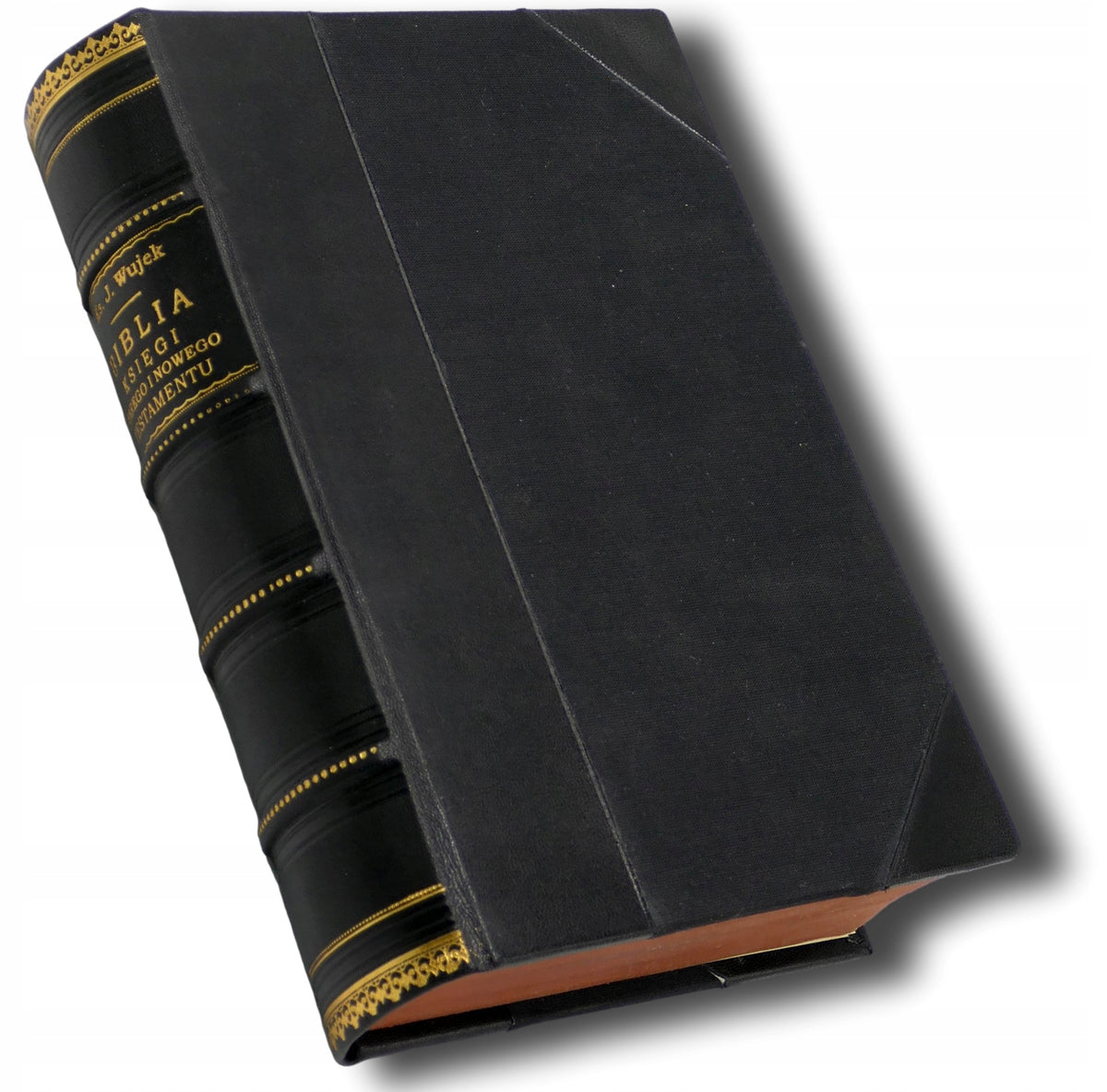 Biblia z przekładem ks. d. Jakóba Wujka [1898]