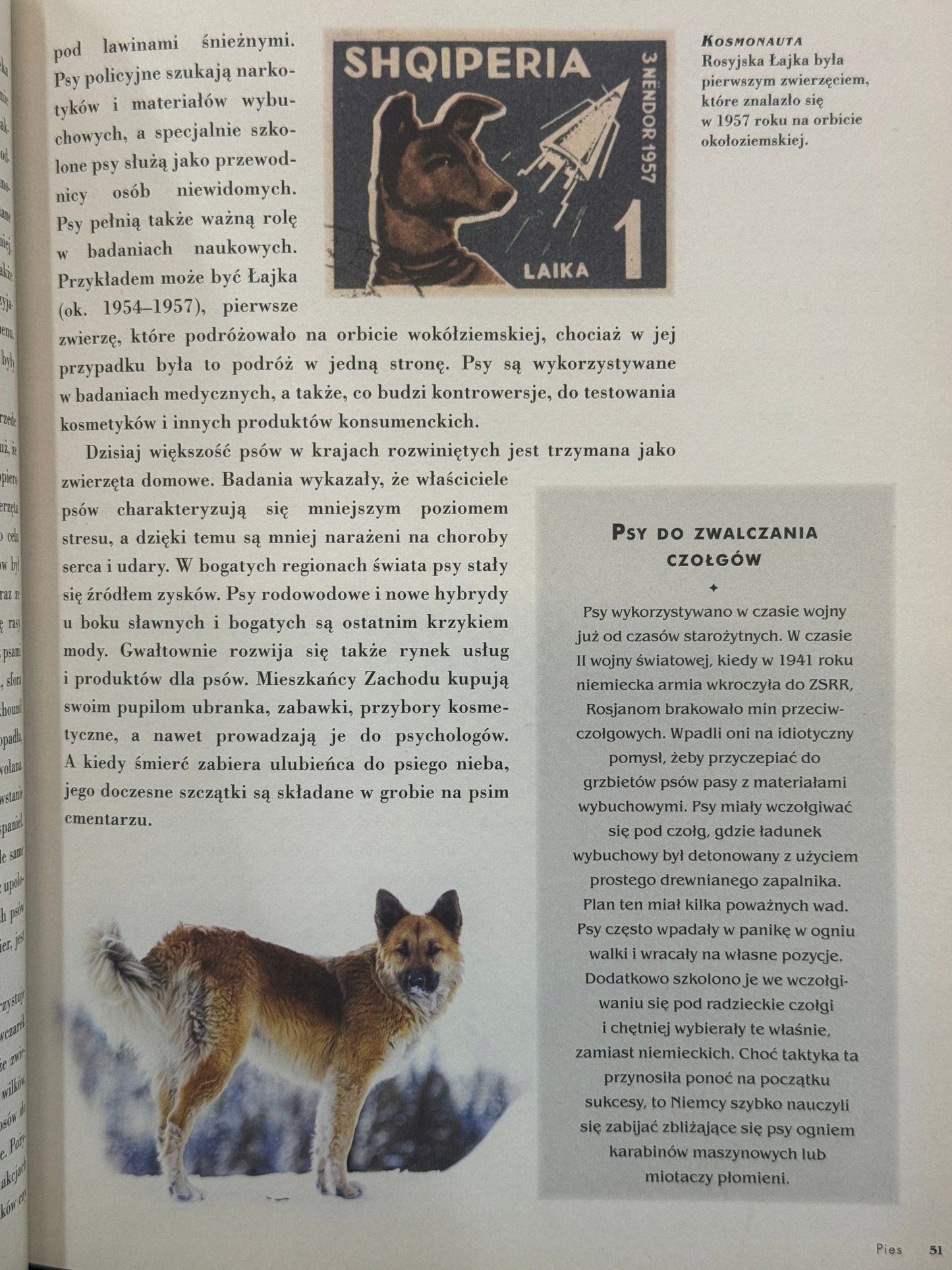 50 zwierząt, które zmieniły bieg historii Eric Chaline