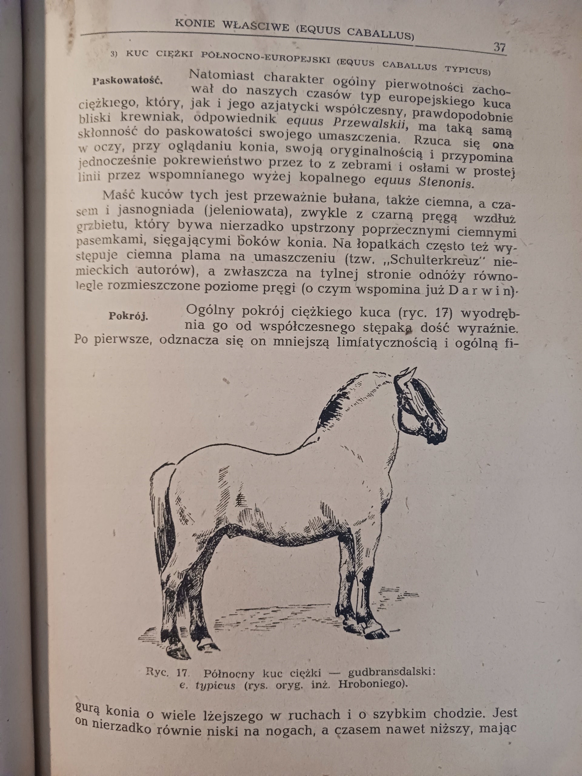 Hodowla koni Tomy I - II Roman Prawocheński [wydania z lat 1947, 1948]