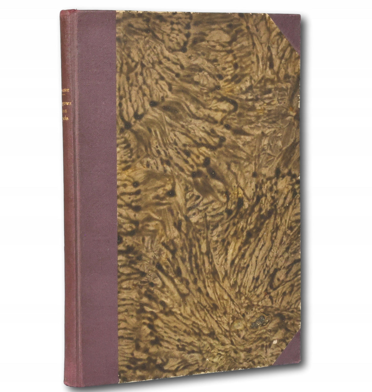 Drogowskaz życia Friedrich Wilhelm Foerster