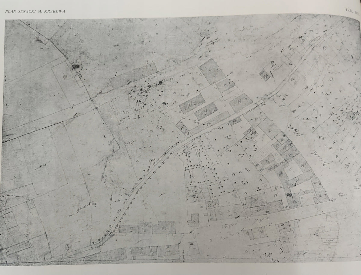 Plan miasta Krakowa Ignacego Endere z lat 1802 - 1808. tzw. Senacki