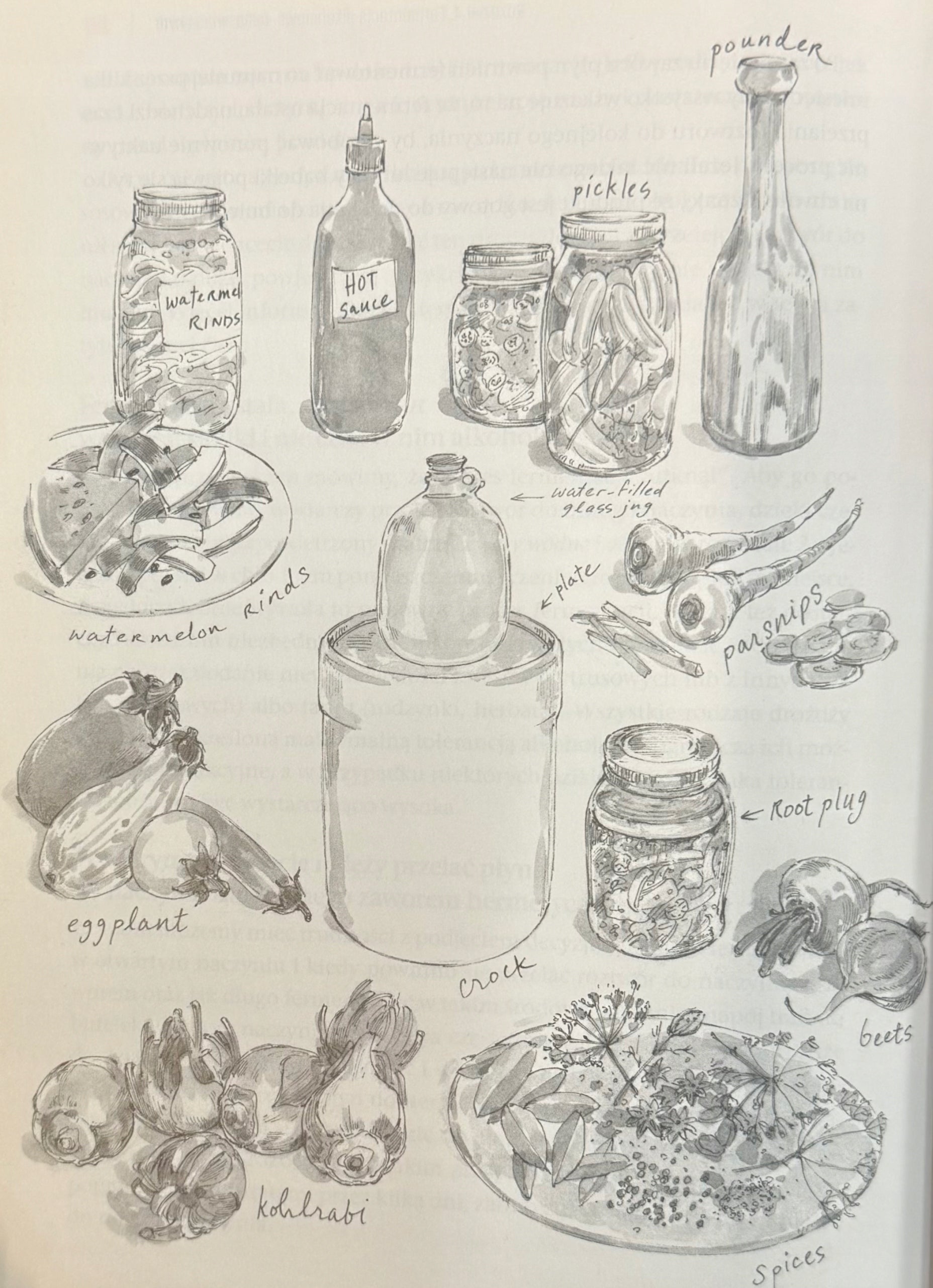 Sztuka fermentacji Katz Sandor Ellix