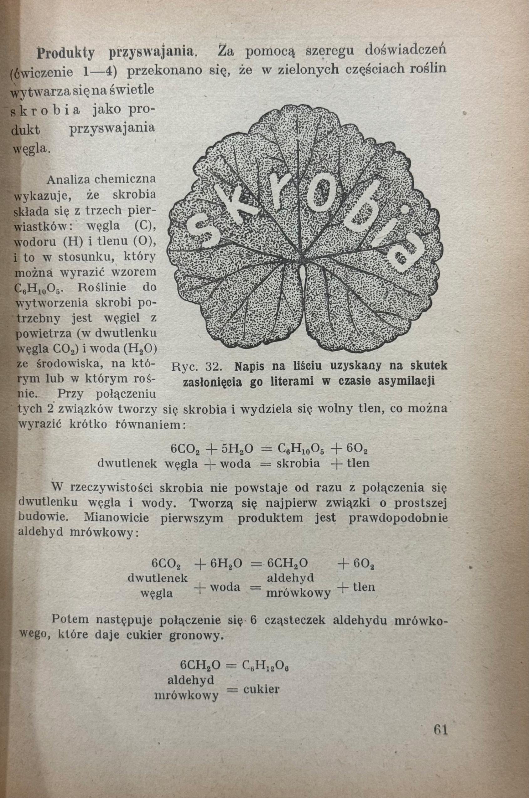 Zarys botaniki z ćwiczeniami Władysław Szafer, Bohdan Dyakowski [1947]