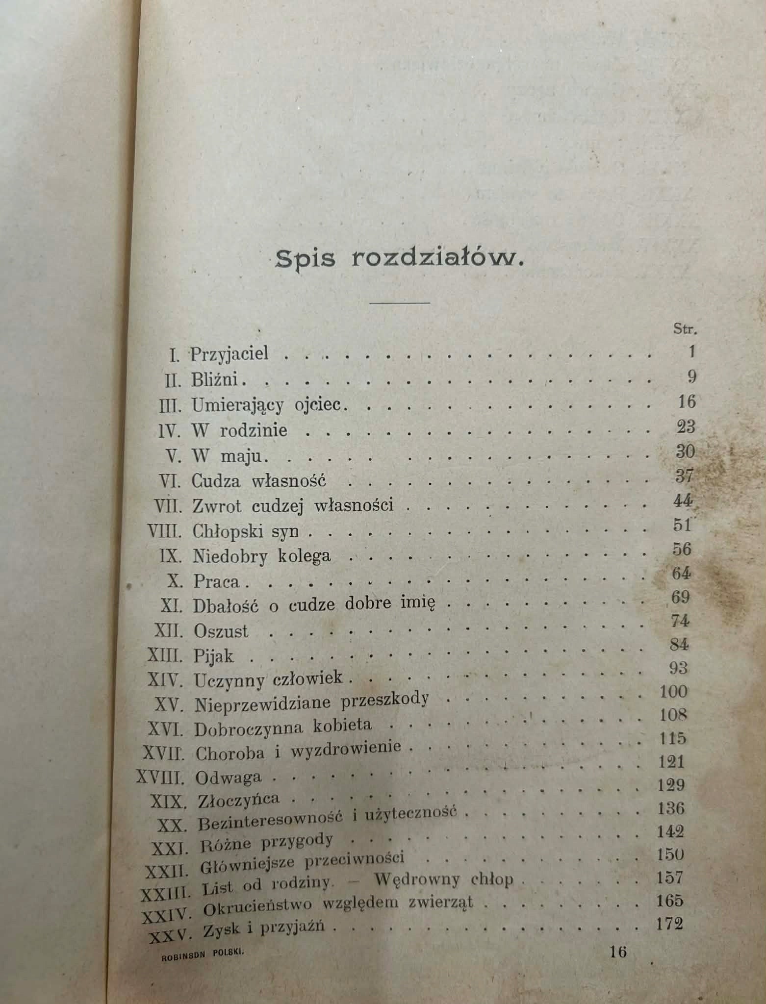 Przygody młodzieńca czyli Robinson polski - Adolf Dygasiński [1899 r.]